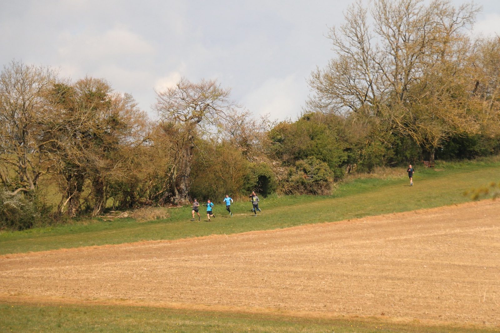 A group of runners dressed in athletic wear are jogging on a grassy field near a wooded area. The ground is a mix of green grass and brown, plowed earth. Trees and bushes surround the field, and the sky is partly cloudy. One person is standing further ahead.