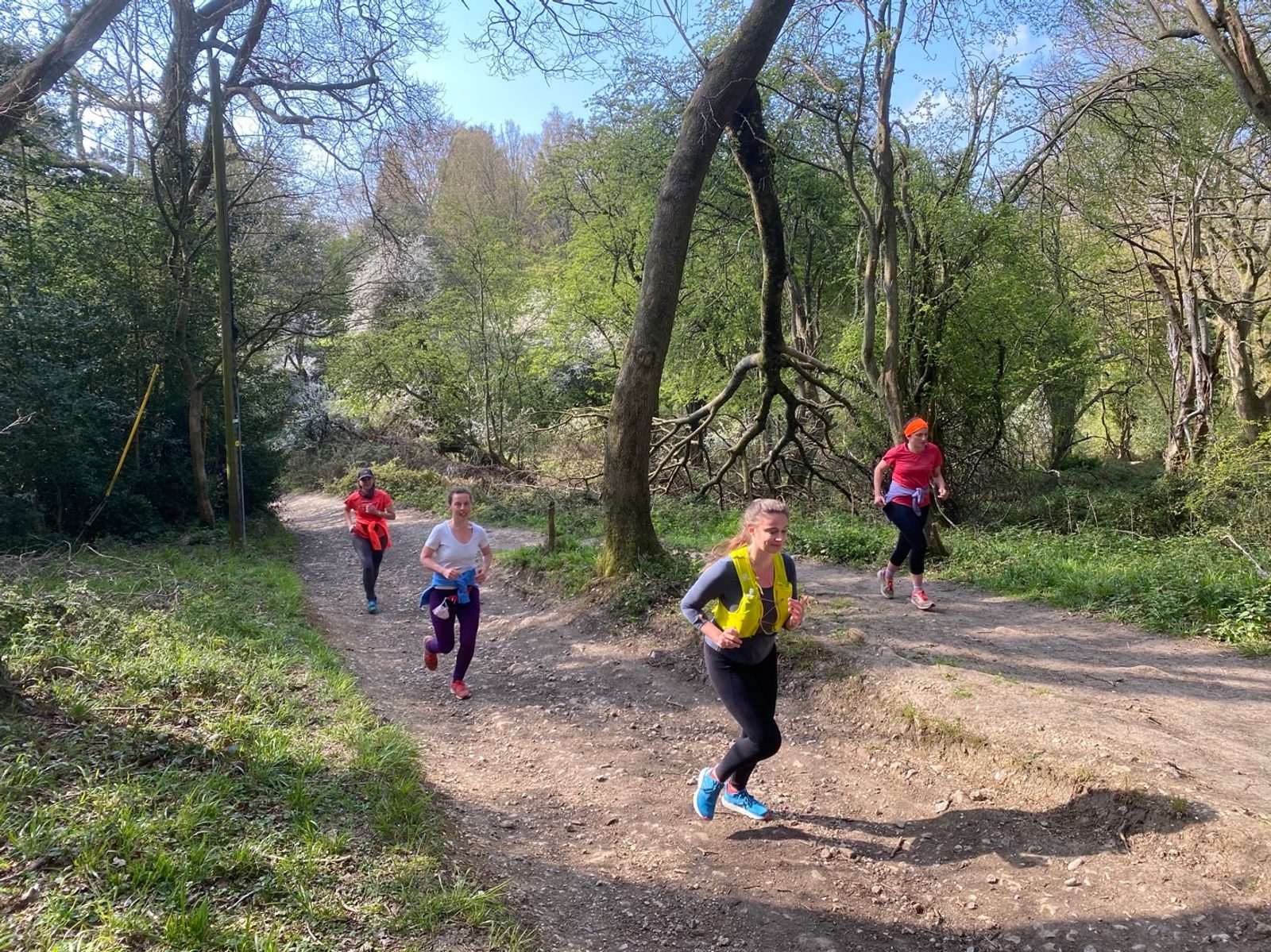 Four people jog on a dirt path through a forested area. It is a sunny day with clear skies. The path splits into two directions, with the joggers spread out along both paths, surrounded by green trees and scattered sunlight filtering through the branches.