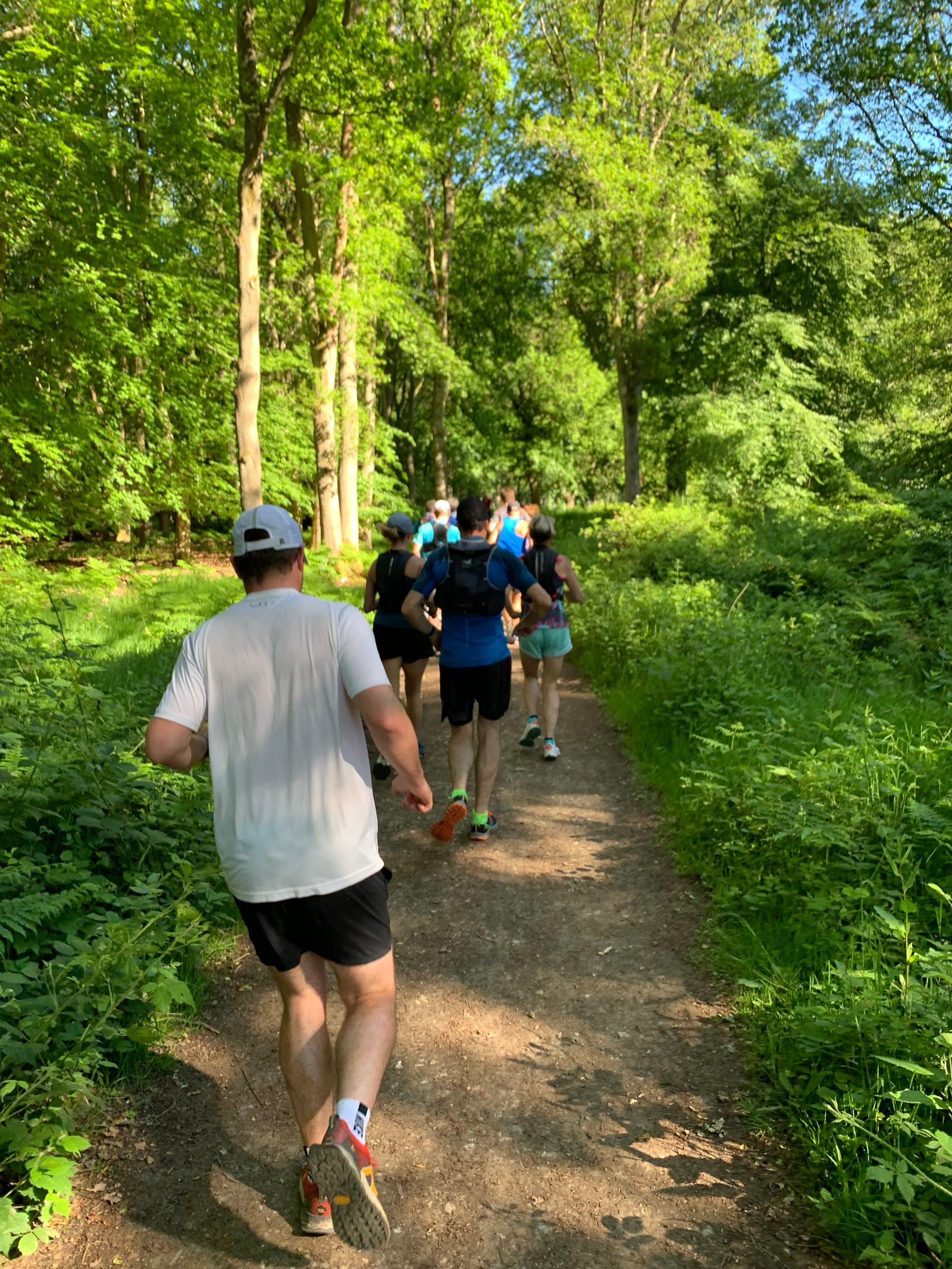 A group of runners jogs along a forest trail on a sunny day. The path is surrounded by dense greenery and tall trees, creating a serene and natural setting. The runners are dressed in athletic wear, and some are carrying hydration packs.