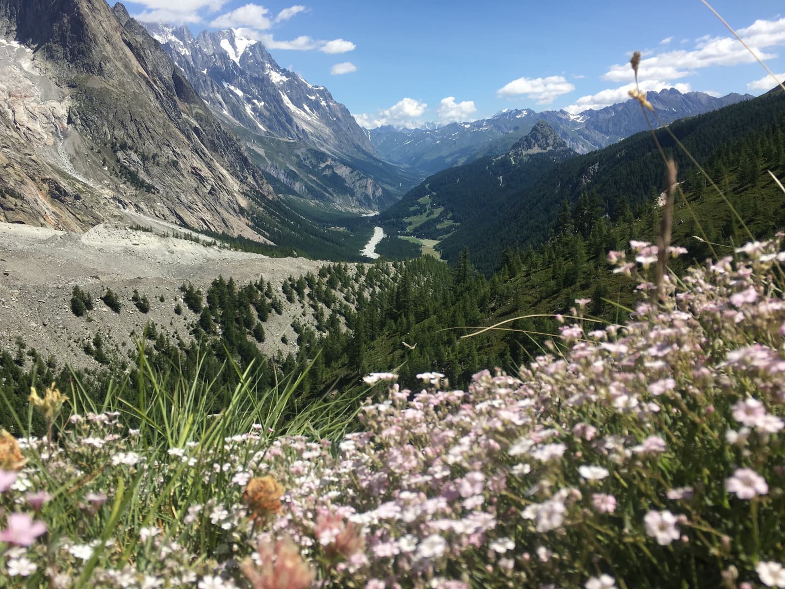 A scenic view of a mountainous landscape with a valley covered in green trees and meadows below. In the foreground, small pink and white wildflowers are in bloom, while tall, jagged mountains tower in the background under a partly cloudy blue sky.