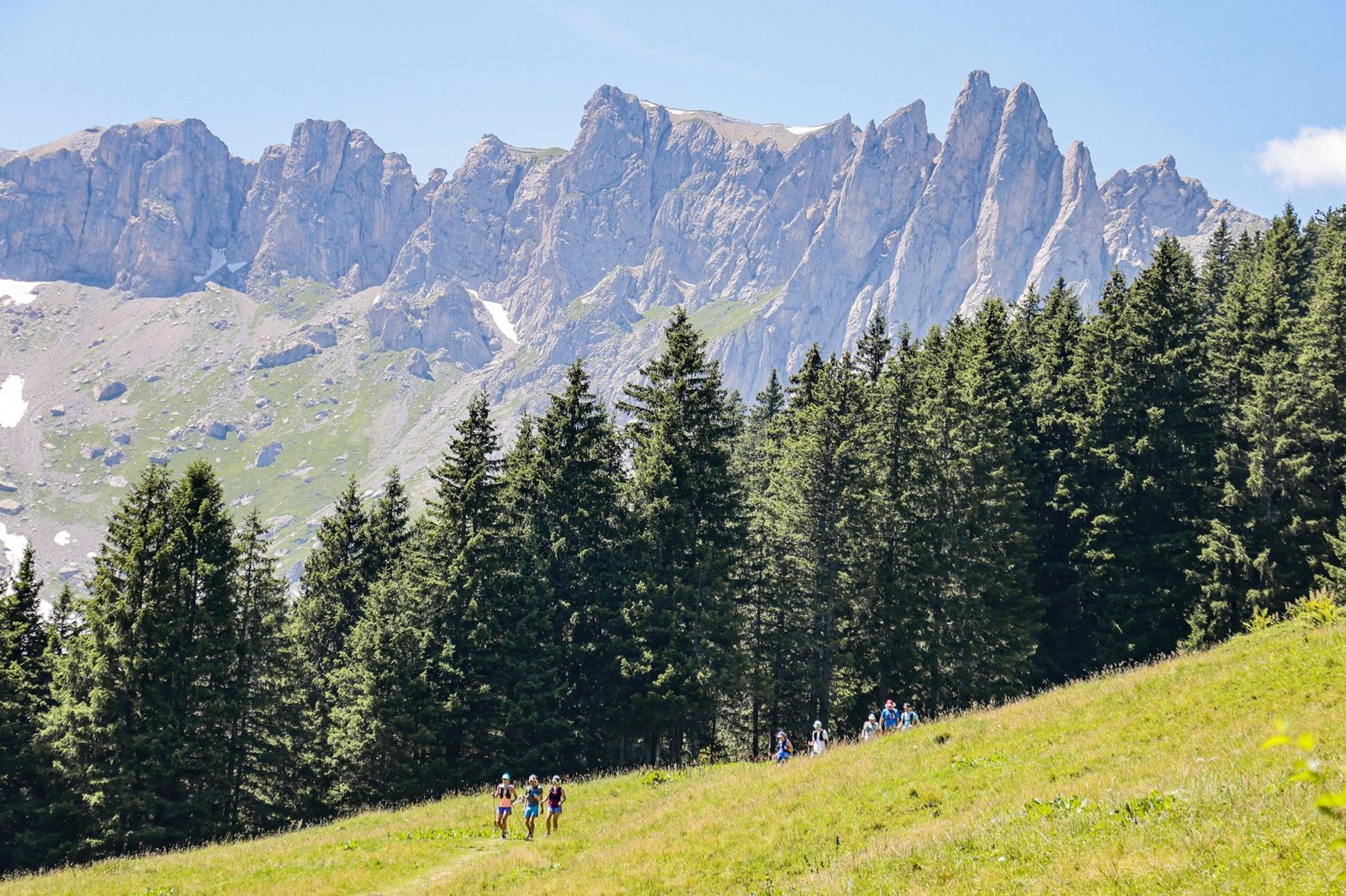 A group of hikers walks through a lush green meadow with tall evergreen trees on the right. Impressive, rugged rocky peaks dominate the background under a clear blue sky. Small patches of snow are visible on the mountainside.