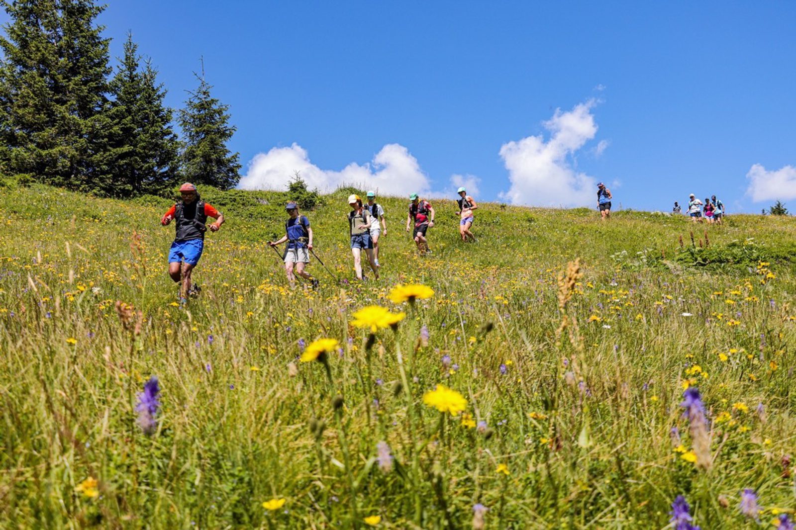 A group of hikers with backpacks walks down a grassy meadow dotted with yellow and purple wildflowers. The sky is bright blue with scattered clouds, and evergreen trees can be seen in the background.