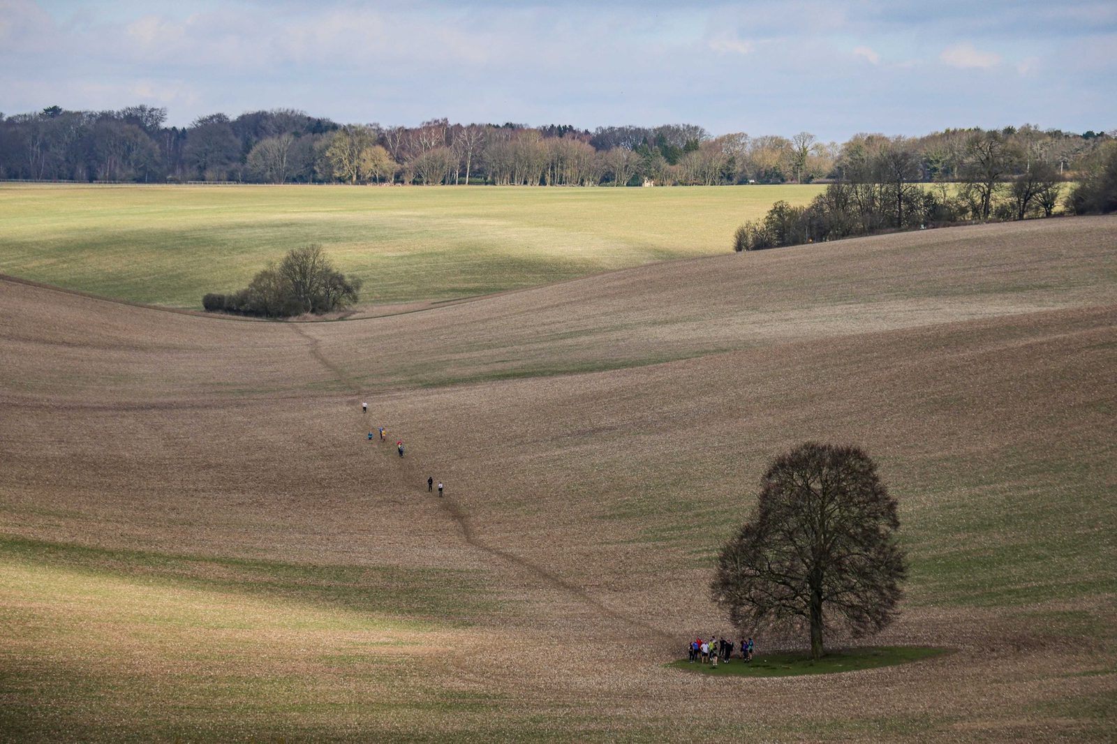 A picturesque countryside scene features large, gently rolling fields with subtle patches of green and brown. A line of hikers follows a narrow path towards a single, large tree near the foreground. Forested areas border the distant horizon under a cloudy sky.