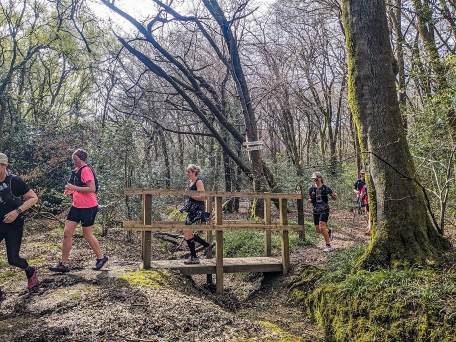 A group of runners, dressed in athletic gear, cross a small wooden bridge in a forest with tall trees and dappled sunlight filtering through the branches.