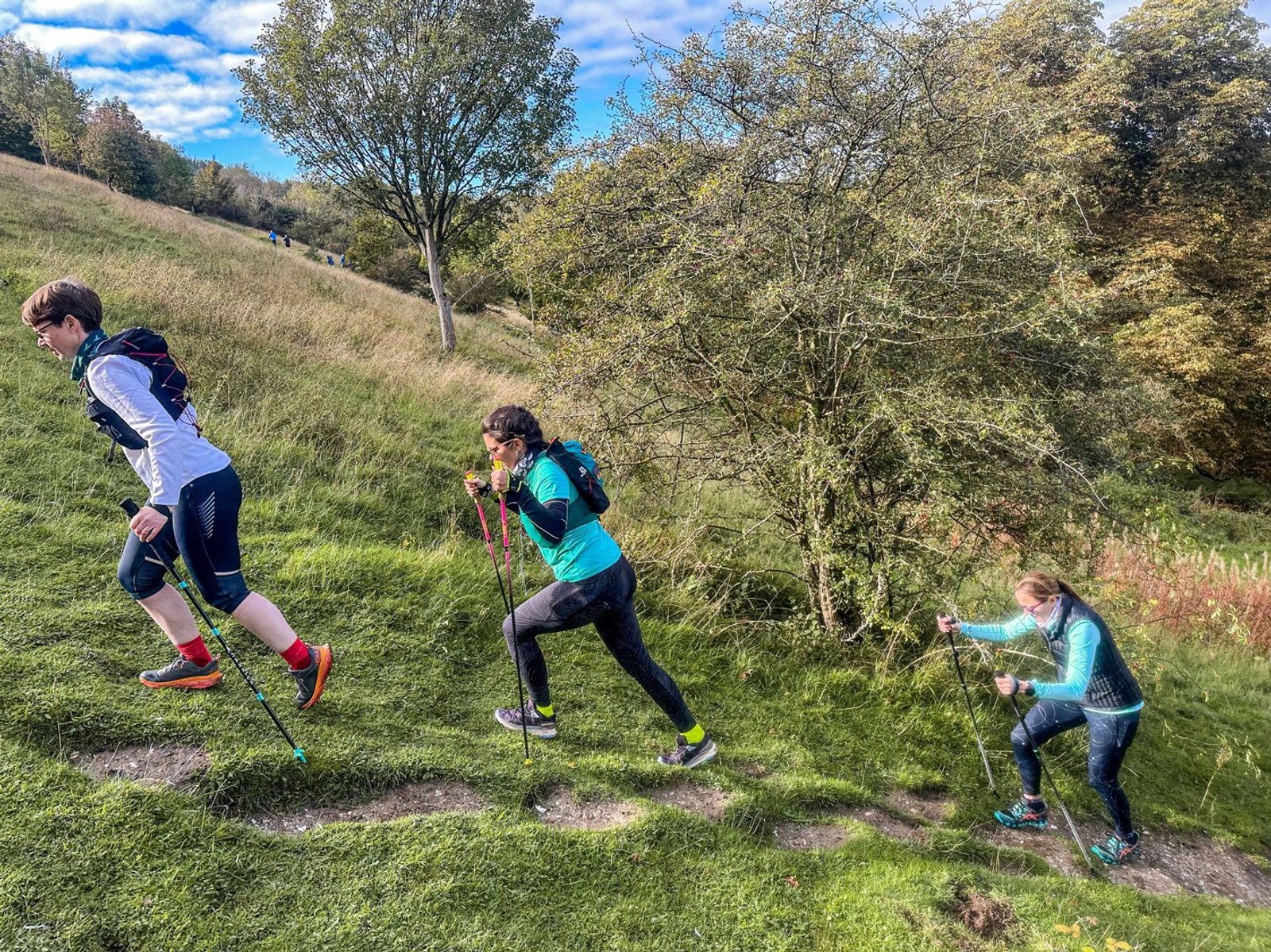 Three hikers equipped with walking poles and backpacks are ascending a grassy hillside on a trail. They are dressed in outdoor athletic gear and moving in a line, with trees and a partly cloudy sky in the background. The terrain appears slightly steep.