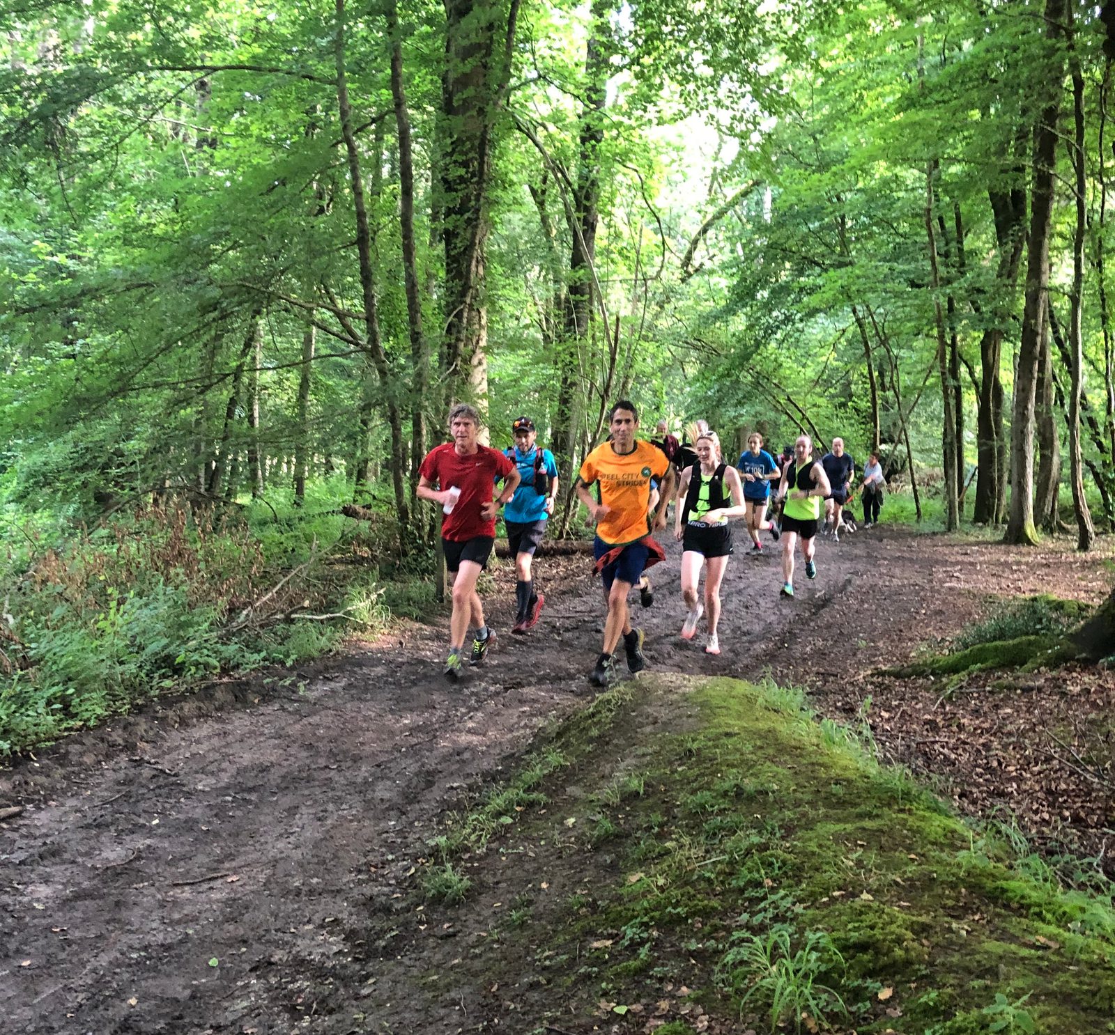 A group of people running along a forest trail surrounded by lush, green trees. The runners are dressed in athletic wear, with some wearing brightly colored shirts. They appear to be participating in a trail run or a race. The path is slightly muddy.