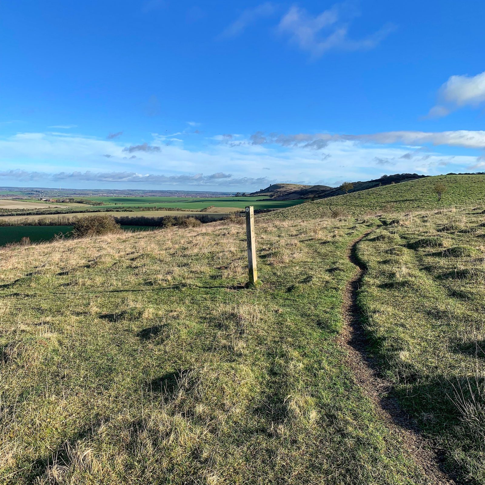 A narrow dirt trail winds through a sunlit, grassy hillside under a bright blue sky with scattered clouds. A solitary wooden post stands beside the path, and vast green fields stretch out in the distance, undulating with small hills.