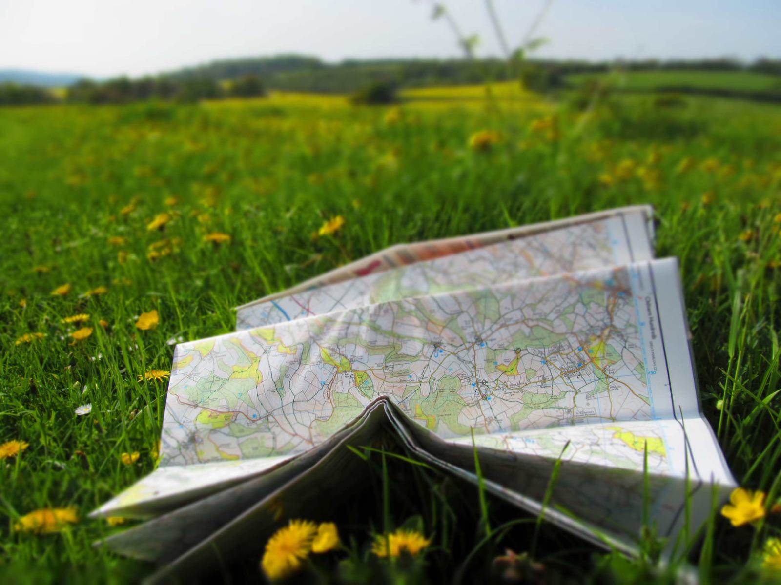 A map lies open on a grassy field scattered with yellow wildflowers. The background features green rolling hills under a clear sky, giving a serene and pastoral setting.