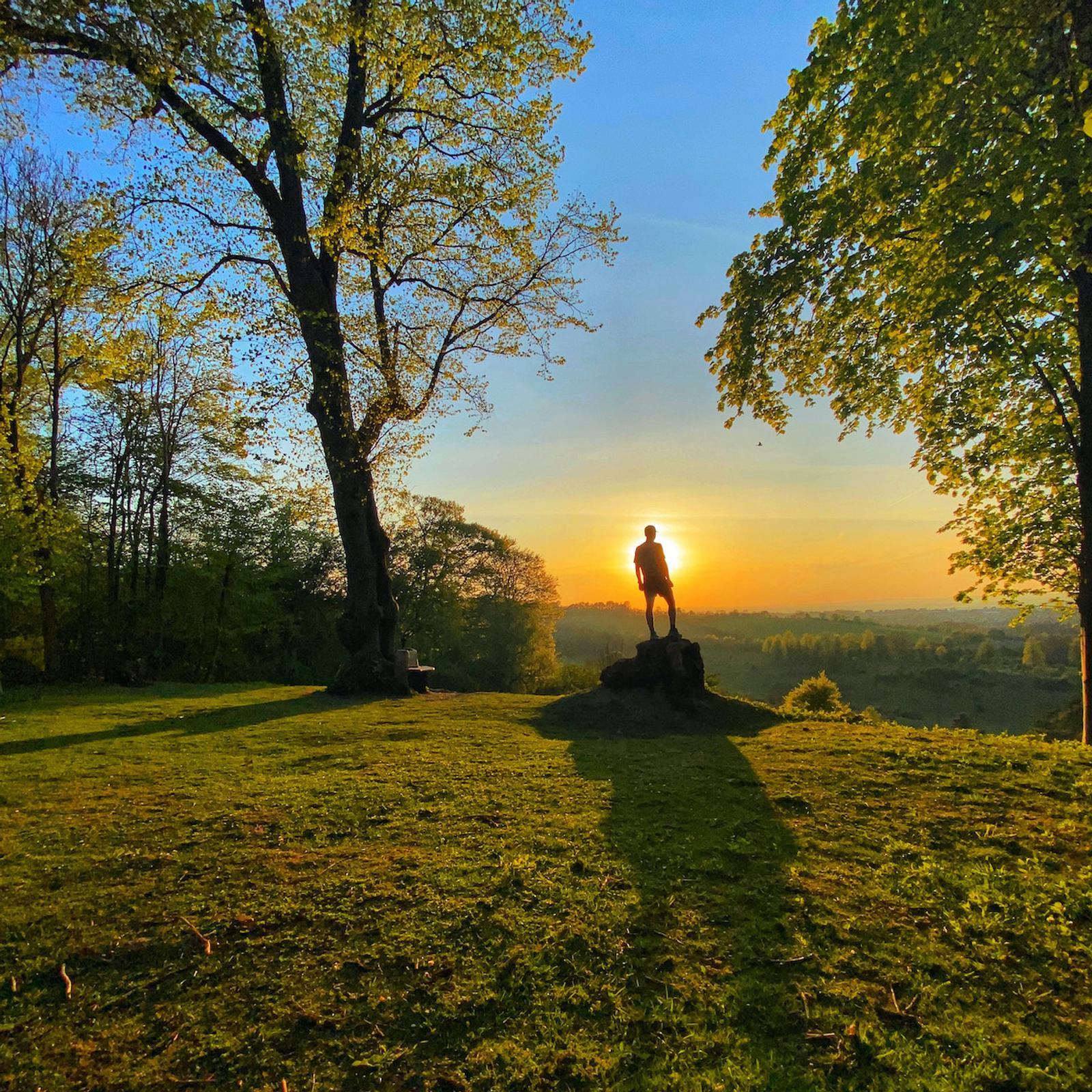 A person stands on a tree stump in a grassy area, silhouetted against the sunset. Surrounding them are tall, green trees and the sun casting long shadows across the landscape.