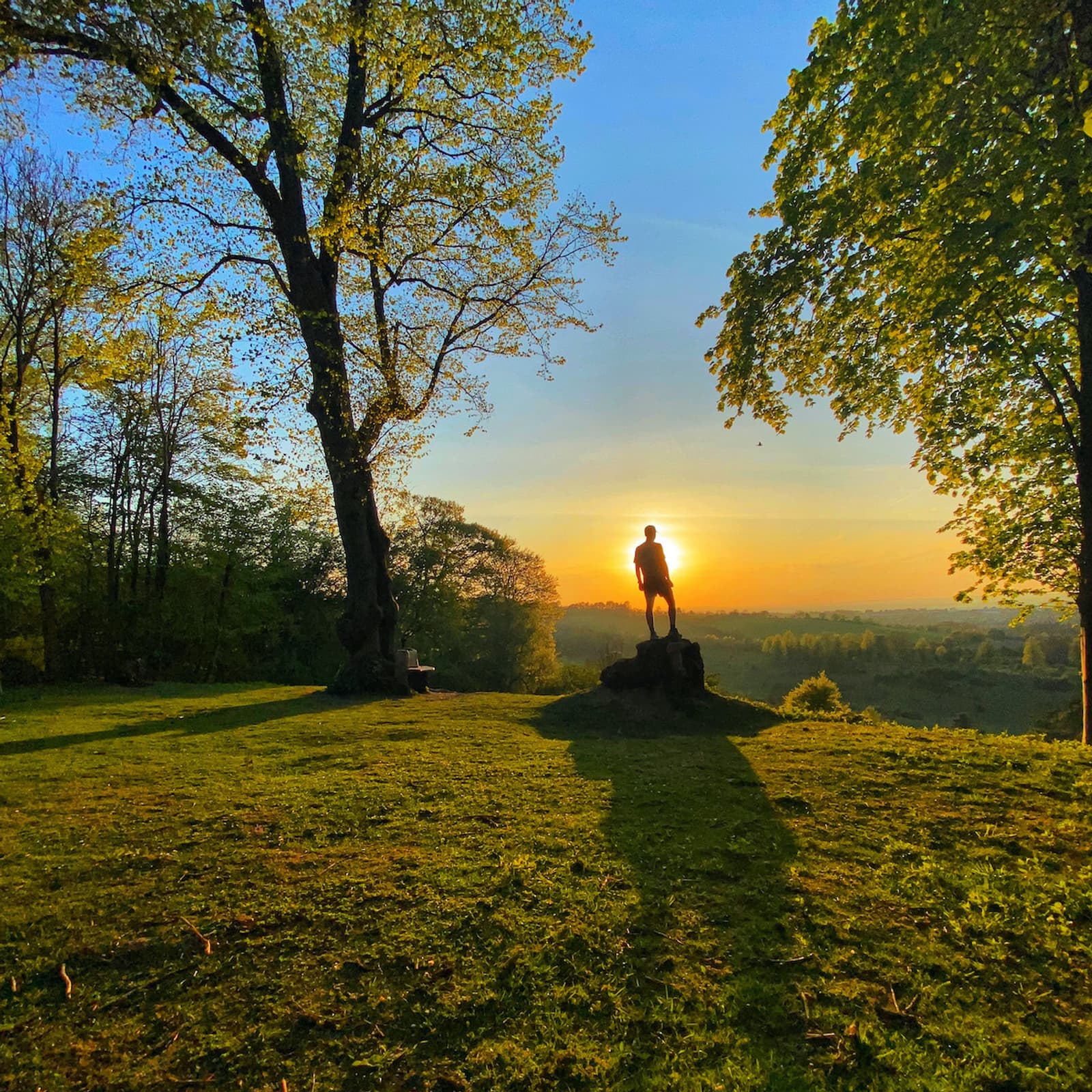 A person stands on a tree stump, facing the setting sun in a lush green park surrounded by tall trees. The sky has hues of orange and blue, casting long shadows and bathing the scene in warm, golden light.