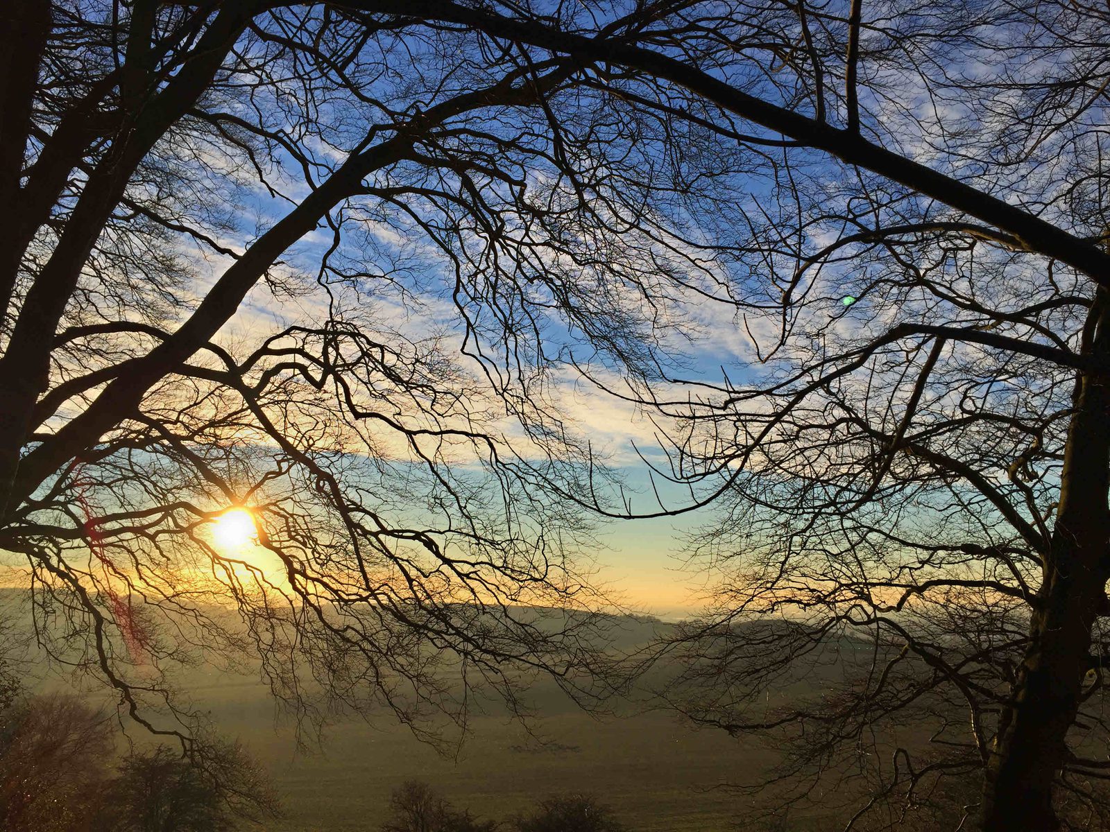 A scenic view features bare tree branches framing a sunrise in the sky. The horizon glows with soft-toned orange and yellow hues as the sun rises, while the sky transitions to a clear blue. The foreground displays a misty field, contributing to the serene atmosphere.