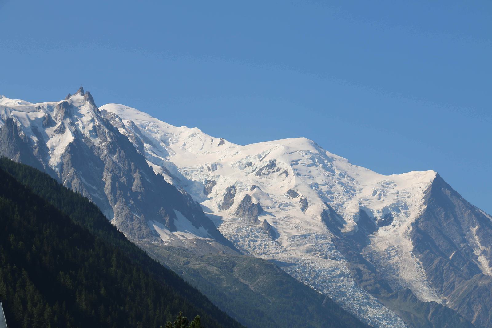 A serene landscape of snow-capped mountains under a clear blue sky. The rugged peaks are partially covered with glaciers, contrasting with the dark green pine forests below that slope gently upwards. The scene evokes a sense of tranquility and natural beauty.