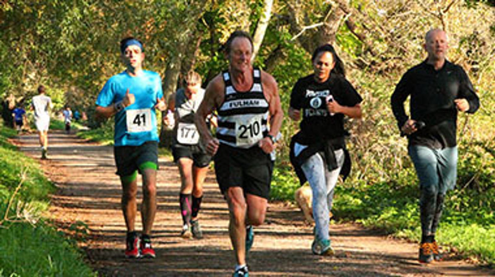 A group of runners participating in a race on a forest trail. They appear focused and determined, with various race numbers pinned to their shirts. The path is lined with green trees and dappled sunlight.
