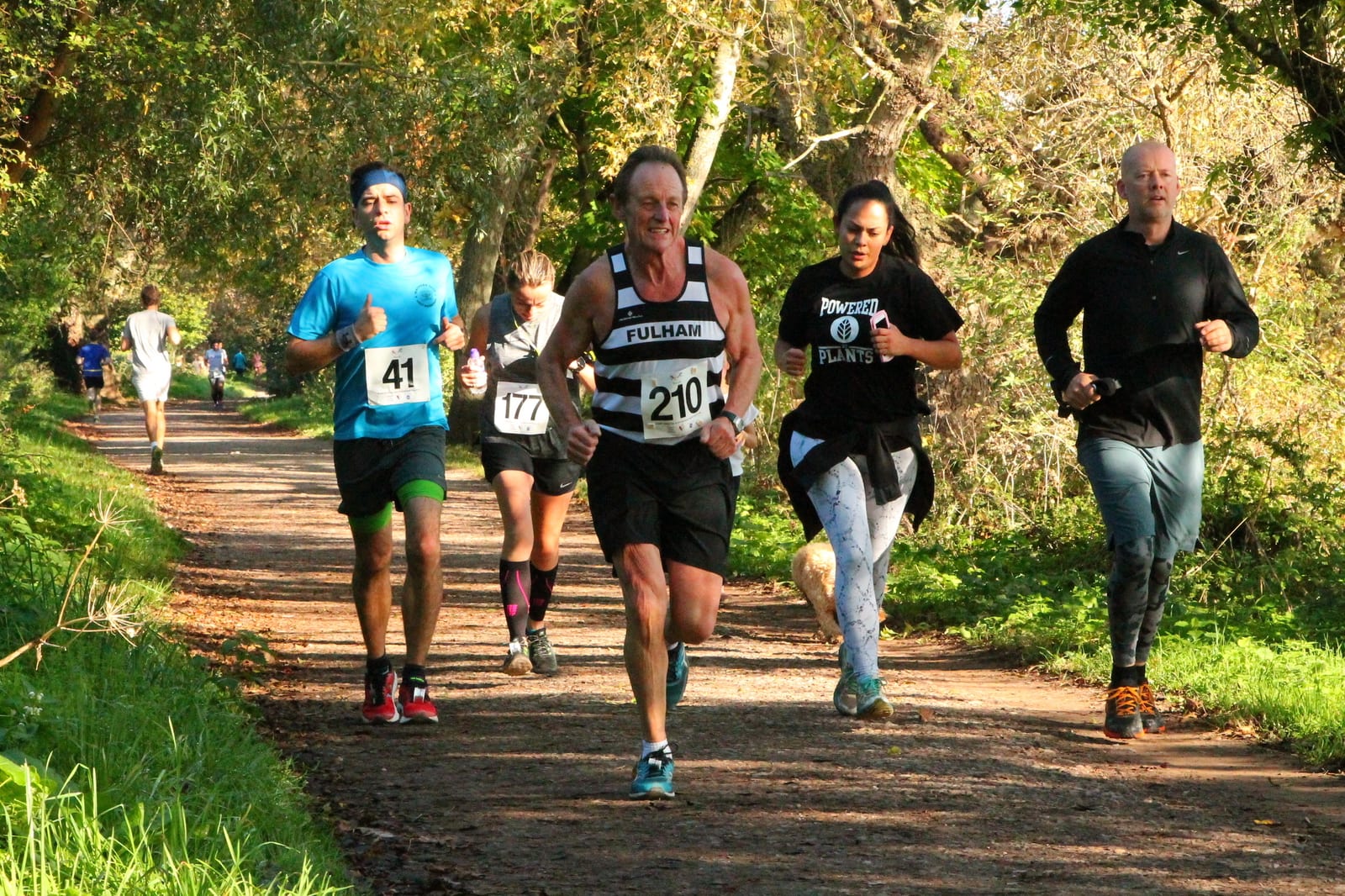 A group of runners participating in a race on a wooded path. The runner in the foreground wears a Fulham vest and has the number 210. Other runners, including one in a blue shirt with the number 41, are jogging nearby along the tree-lined trail.