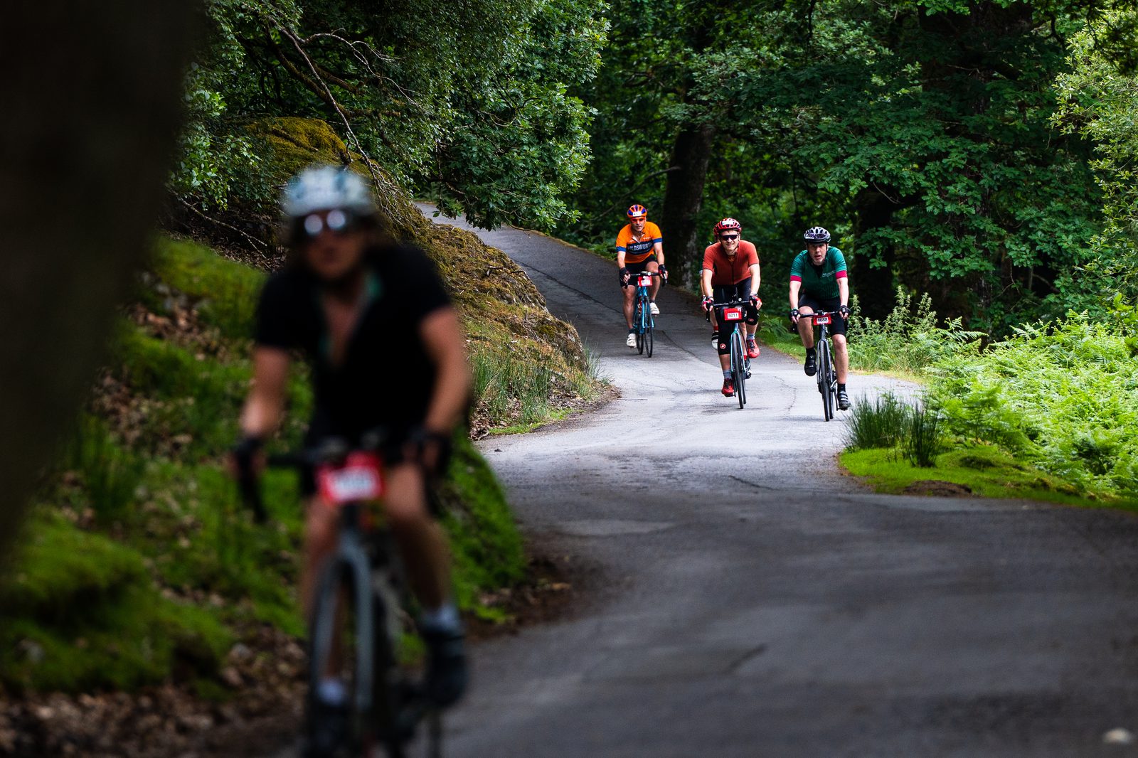Four cyclists ride along a winding, tree-lined road. Three cyclists in orange, red, and green jerseys ride together in the background, while one cyclist wearing a black jersey and helmet appears in the foreground, slightly out of focus. The surroundings are lush and green.