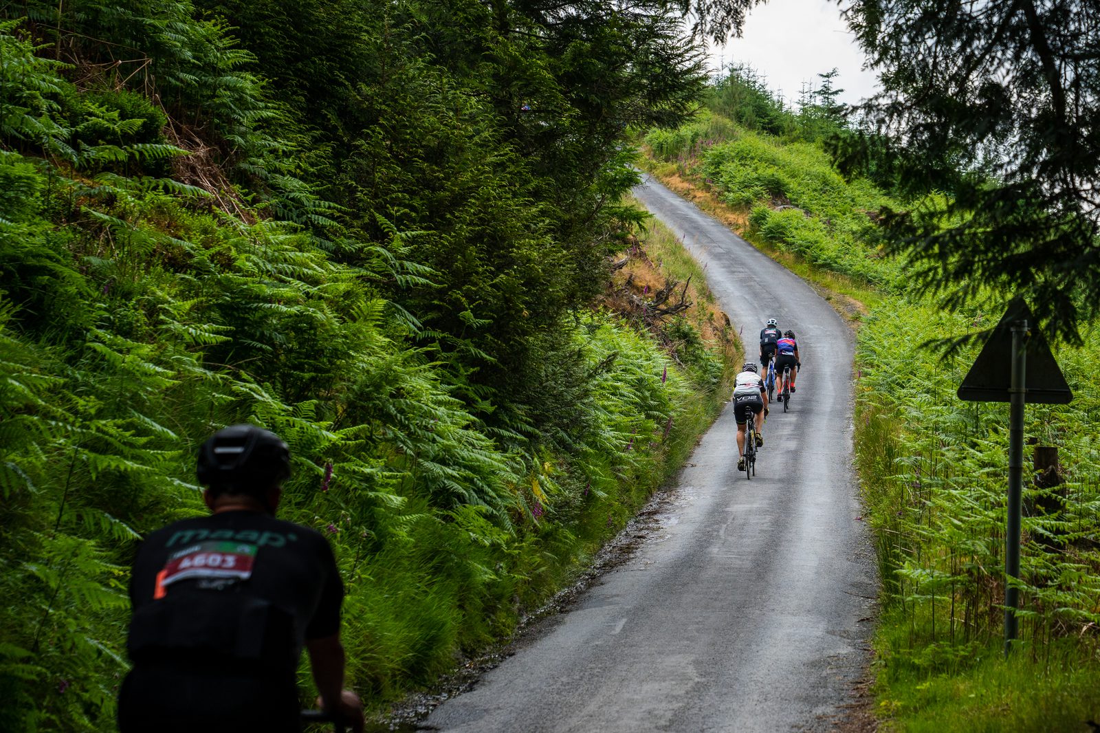 Four cyclists ride up a narrow, winding road flanked by lush green foliage. The road is wet, suggesting recent rain, and the surrounding scenery includes dense trees and ferns. They appear to be in a remote, natural setting, with one cyclist in the foreground.