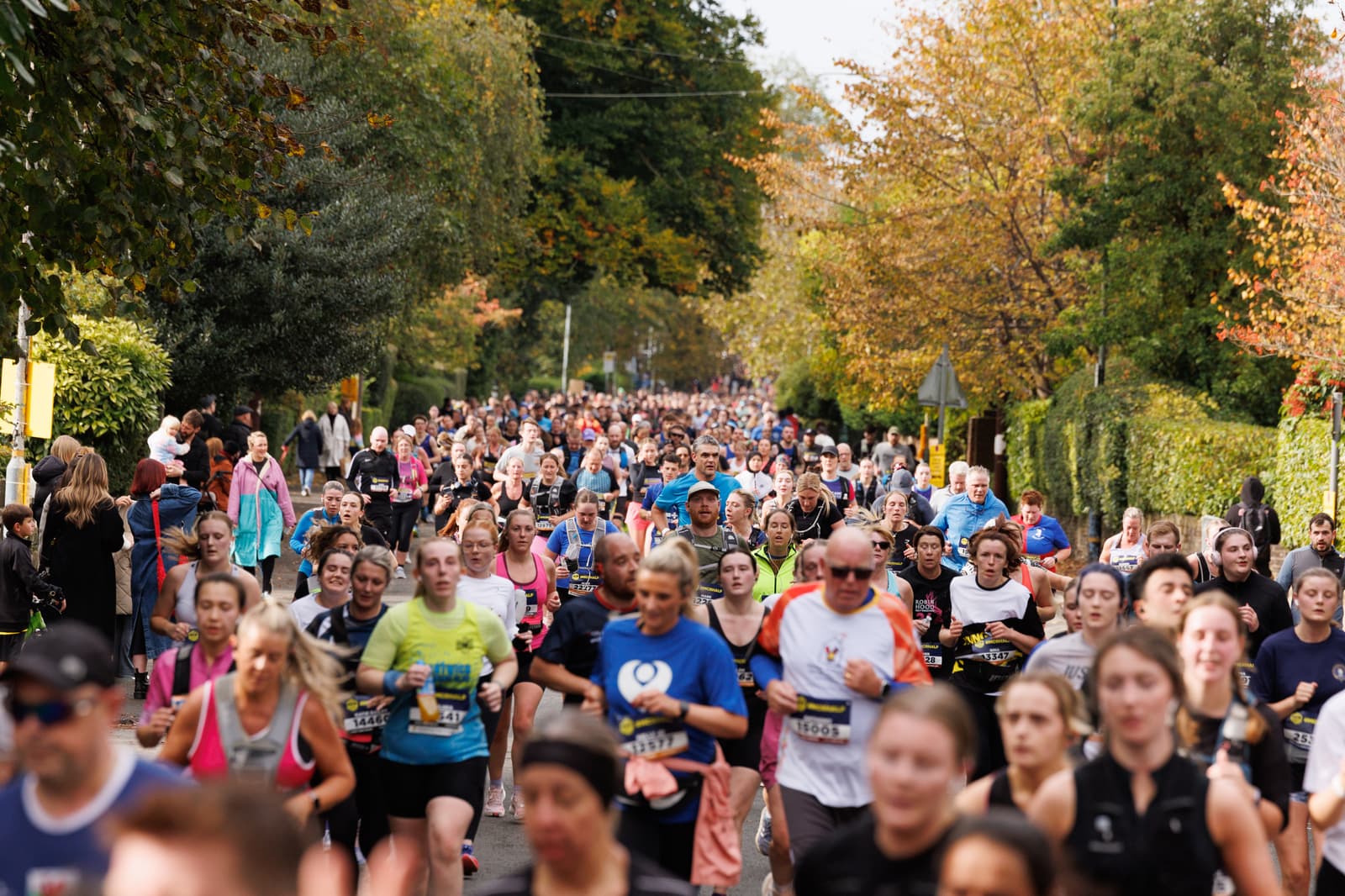 A large crowd of runners participates in a marathon on a tree-lined street. The diverse group includes people of different ages and genders, wearing athletic gear and numbers. The trees display autumn colors, adding vibrancy to the scene.