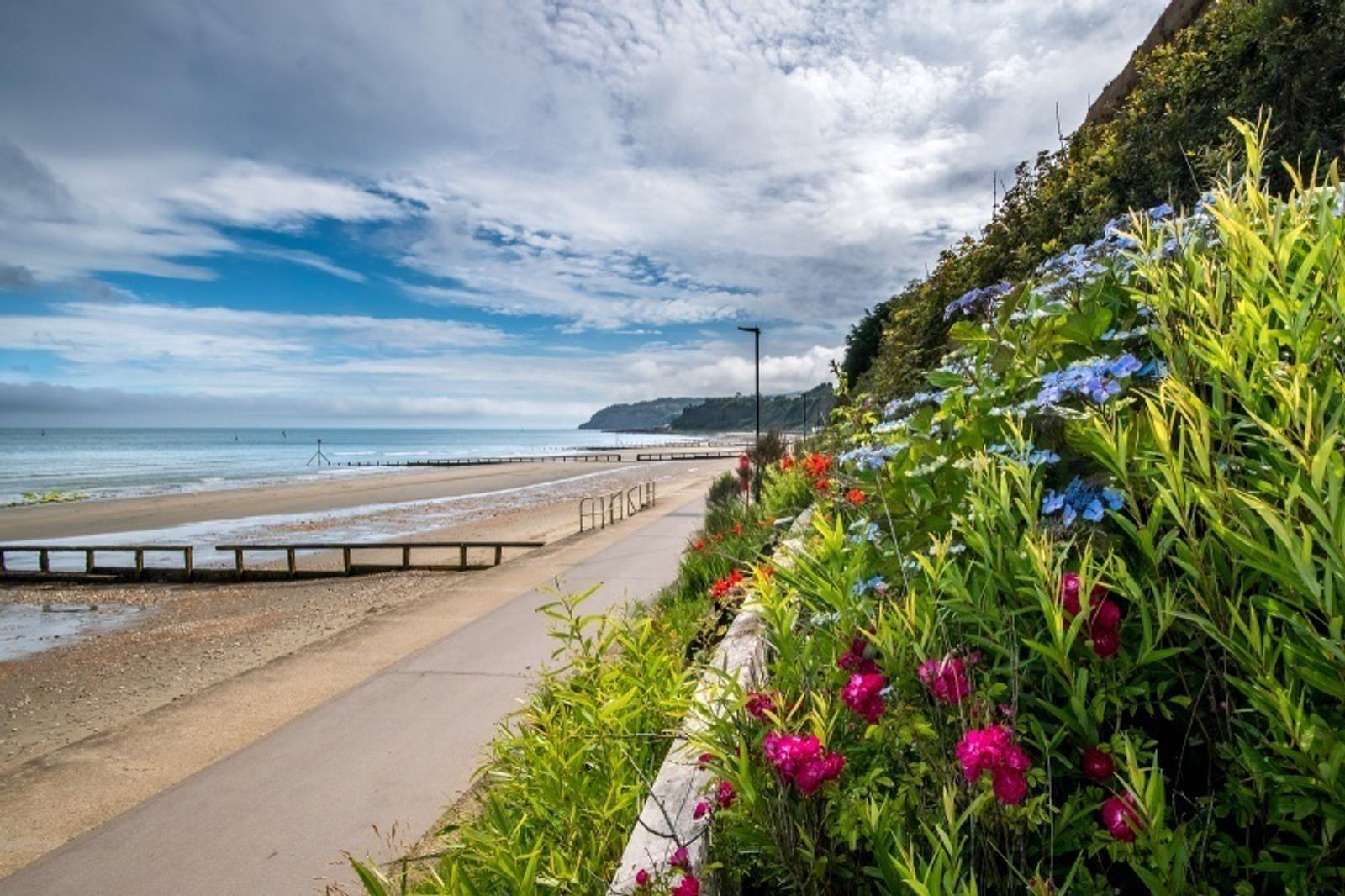 The image shows a scenic coastal landscape with a sandy beach, calm ocean waves, and a partly cloudy sky. A path runs along the shoreline with lush, colorful flowers in the foreground. Hills and cliffs are visible in the background.