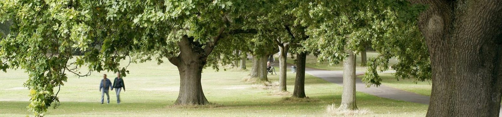 Two people walk along a grassy path under a canopy of large, leafy trees in a park. The scene is serene, with patches of sunlight filtering through the leaves, and a paved walkway visible among the trees.