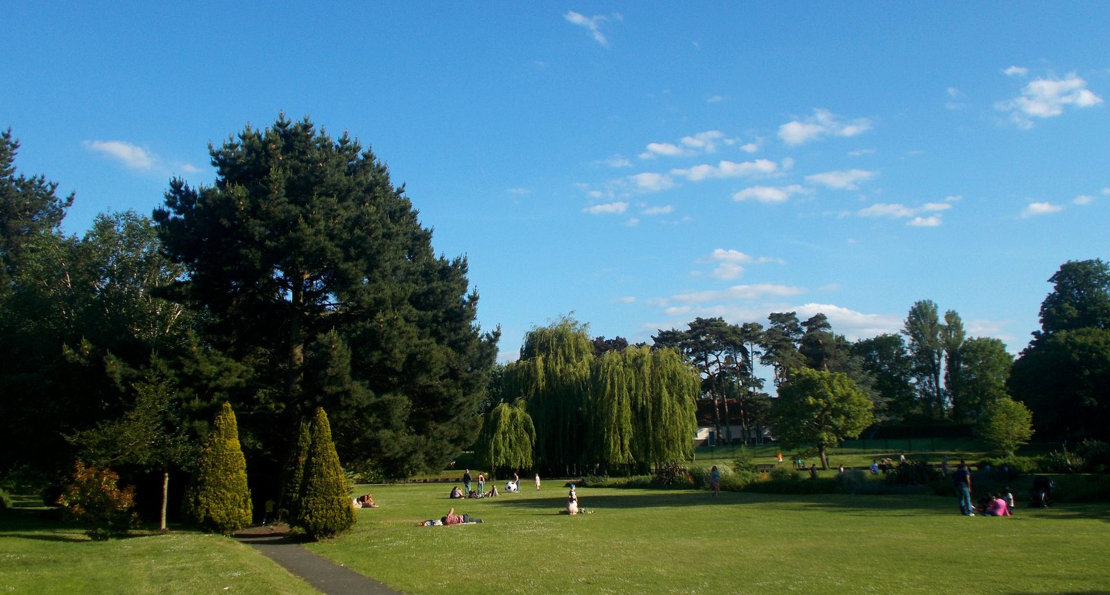 A spacious park with lush green grass and various trees, including pines and willows, on a sunny day with a clear blue sky. People are scattered around the area, sitting and picnicking, enjoying the serene environment. A path runs through the left side of the scene.