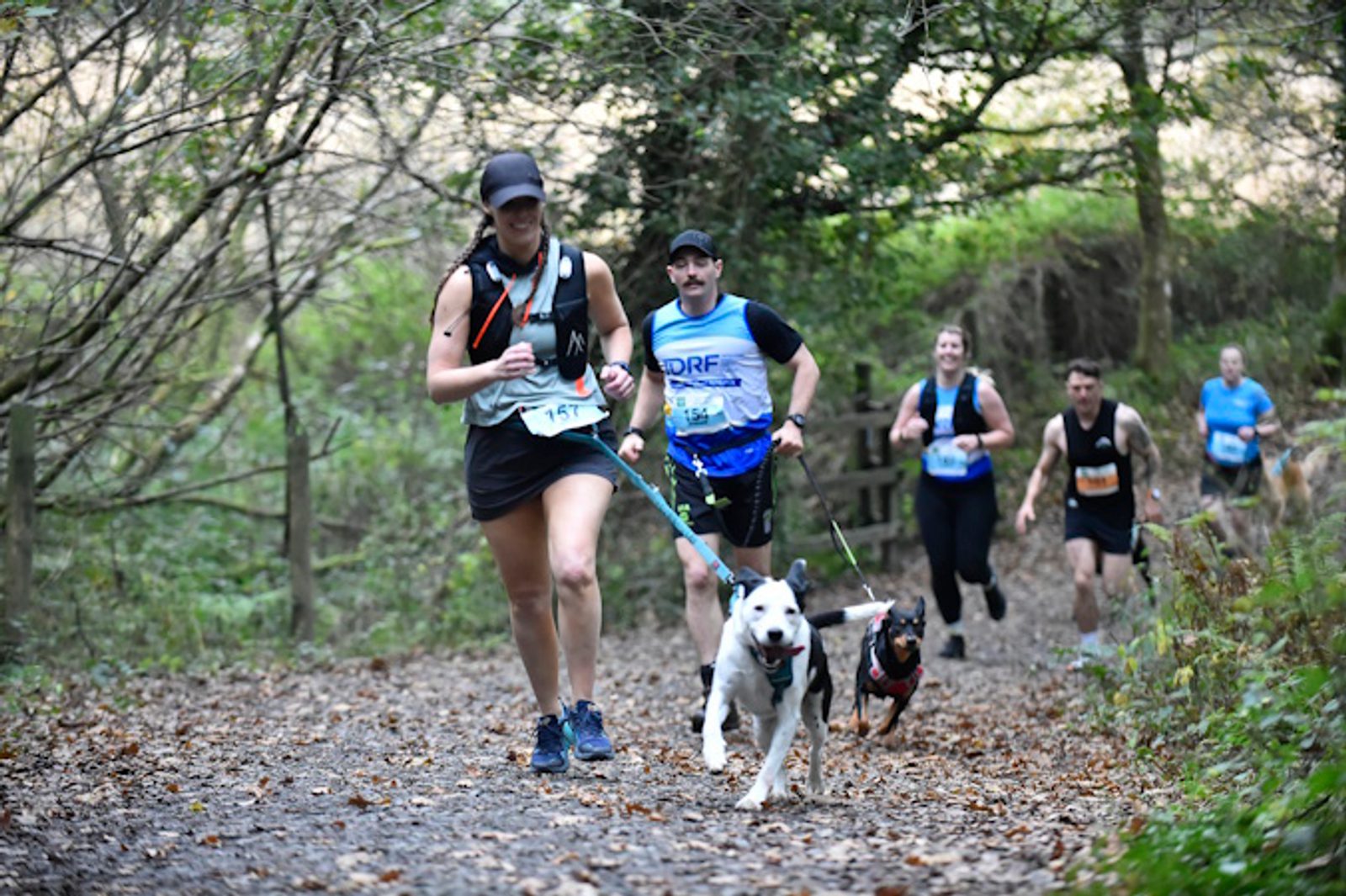 A group of people run on a forest trail, some with race bibs and two leading dogs on leashes. The setting is outdoors with trees and foliage, and the trail is uneven and natural.