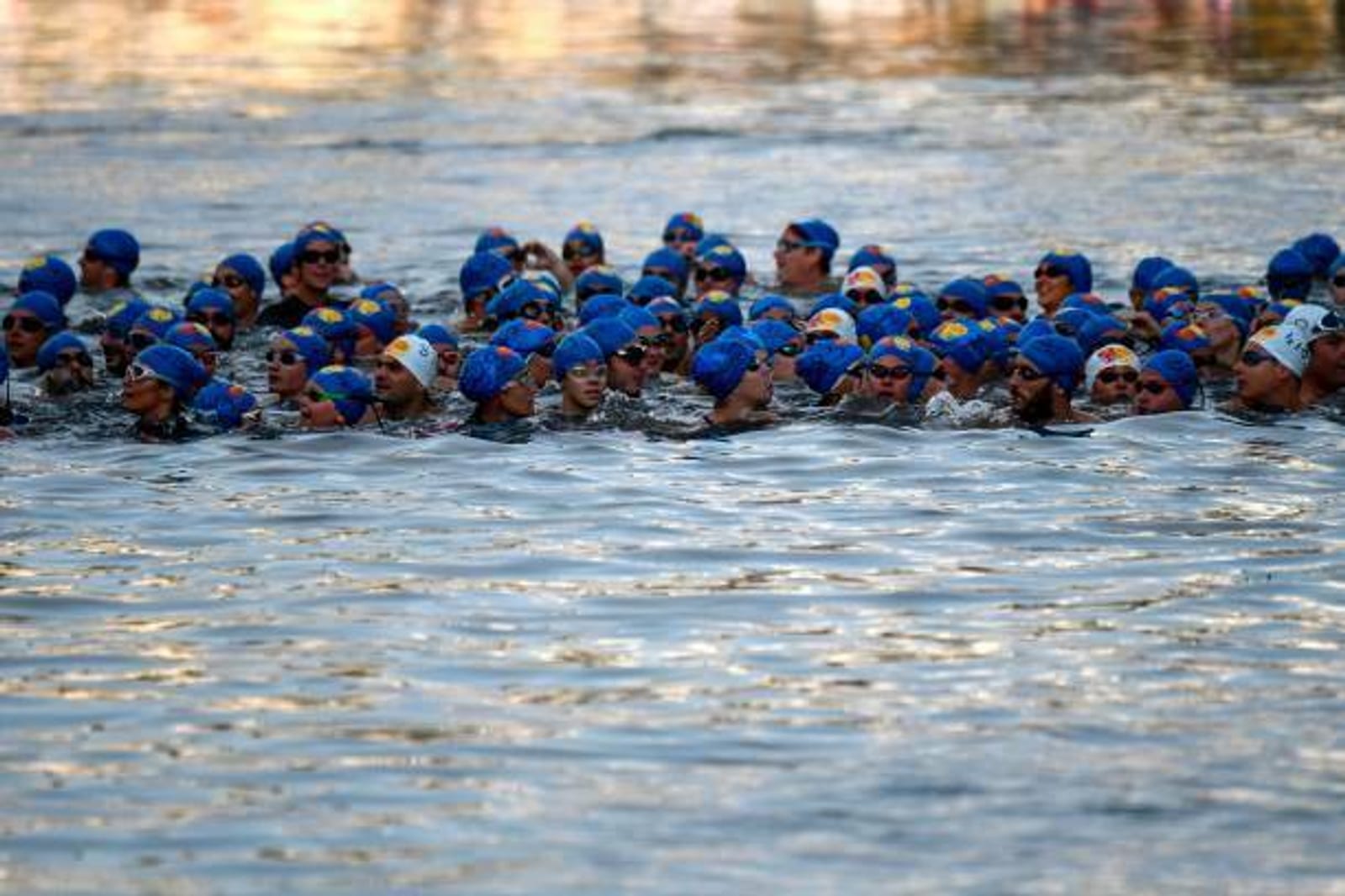 A large group of swimmers wearing blue swim caps gathered in open water, with reflective water surface and distant blurred background. The swimmers are close together, preparing to start or having started a race.