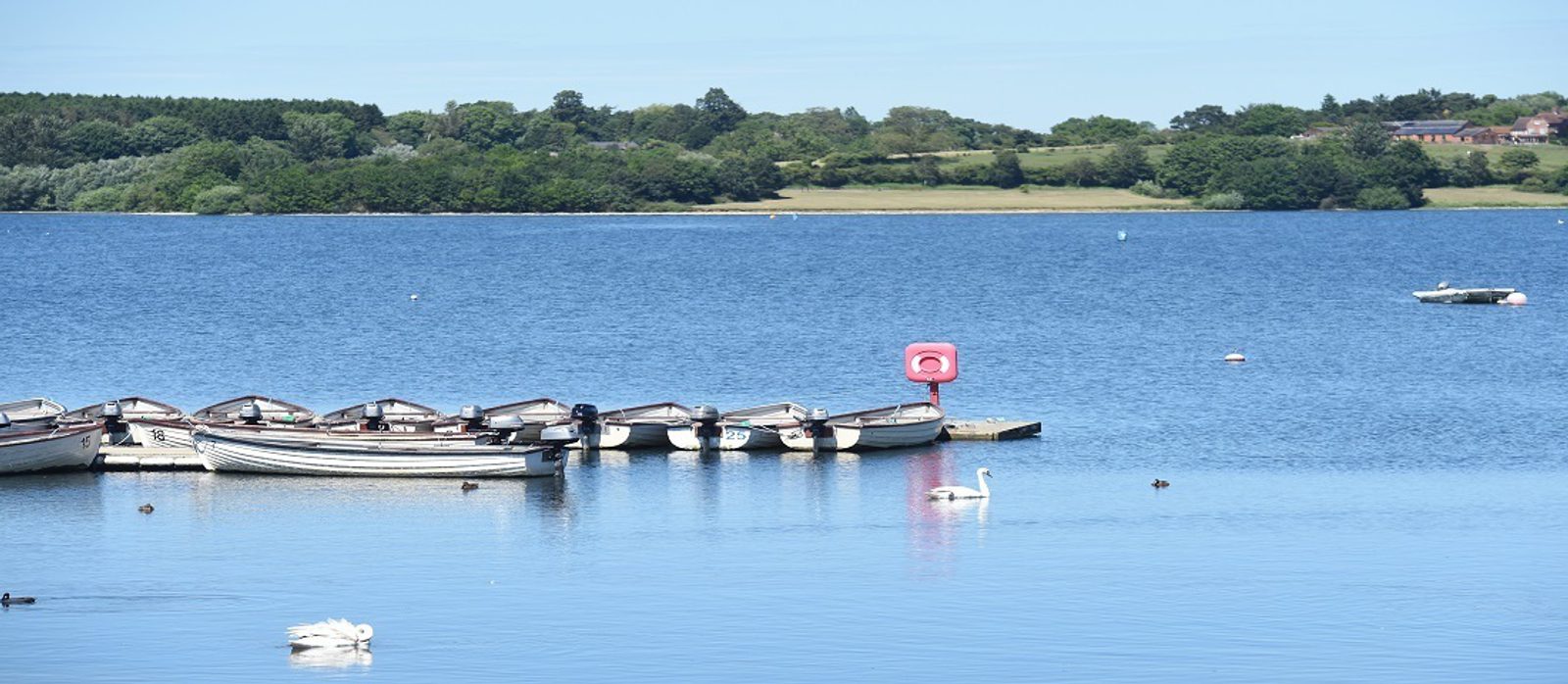 Draycote Water Seven @ Severn (7k at 7pm) event image