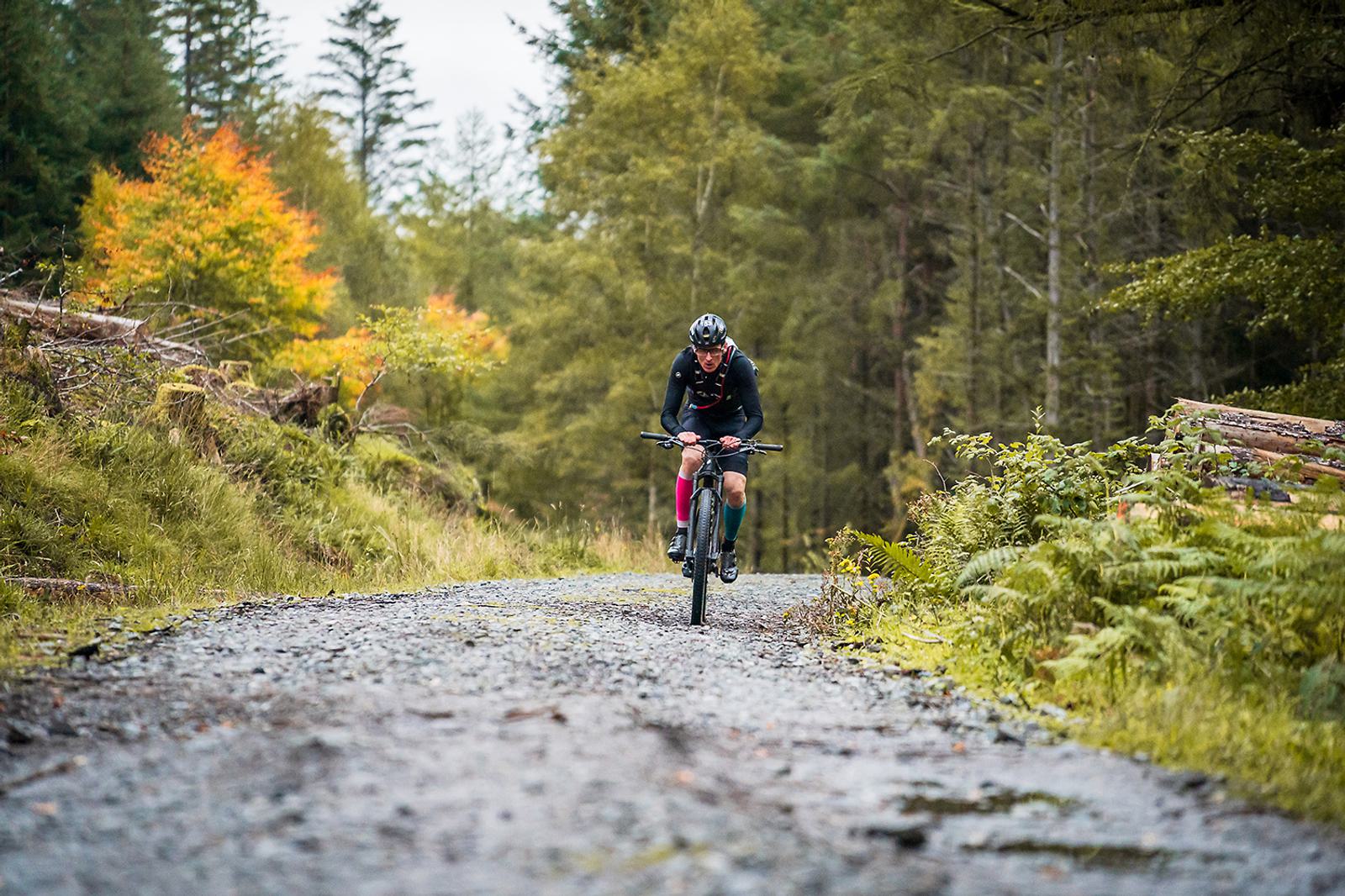 A lone cyclist rides on a gravel path through a lush forest. The trees display vibrant autumn colors, with shades of green and orange. The overcast sky adds a serene atmosphere to the scene.