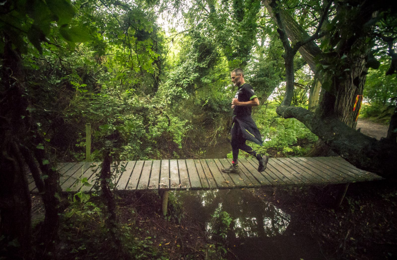 A runner jogs across a narrow wooden bridge surrounded by dense greenery. The scene is lush with trees and foliage, and the bridge crosses over a small, murky stream. The jogger wears a black outfit and looks focused.