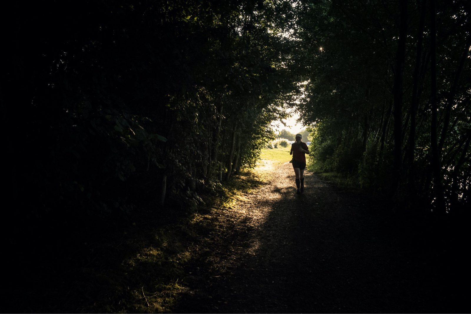 Silhouetted person rides a bicycle on a dirt path surrounded by dense trees, heading towards sunlight. The image captures the contrast between the dark forest and the bright, open area ahead.