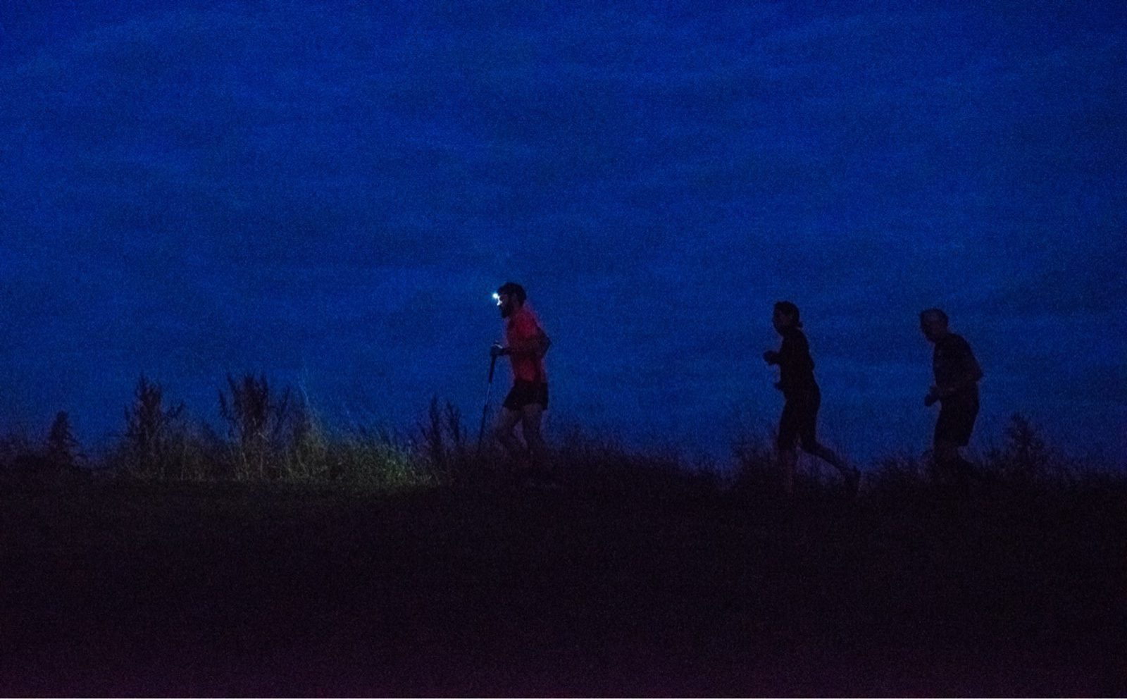 Three people jog on a dark path with a deep blue sky overhead. The first person wears a headlamp, providing some light. The silhouettes reveal that they are on uneven terrain with tall grass visible along the path. All are in motion, engaged in night running.