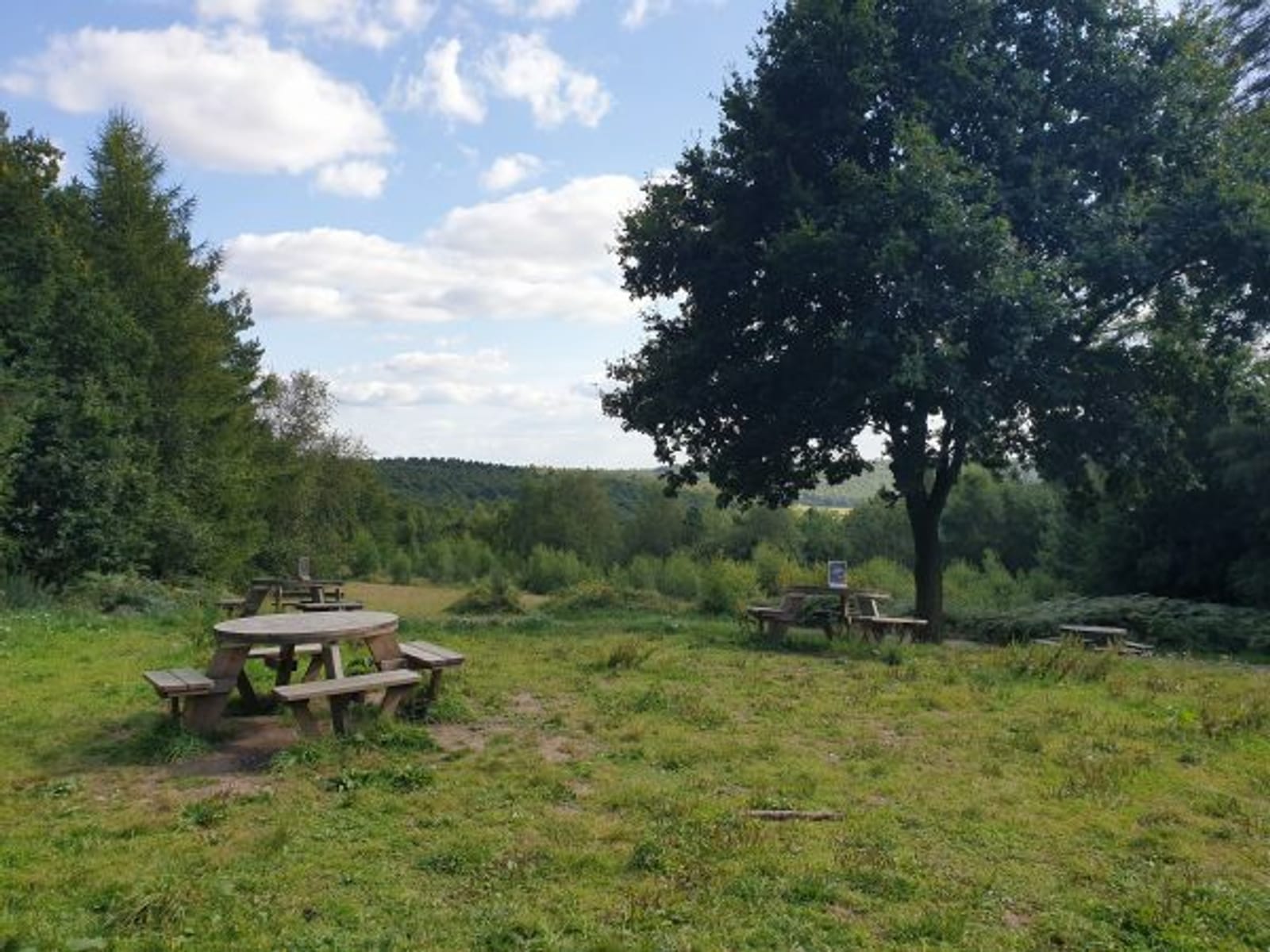 A scenic picnic area with several wooden picnic tables is set within a lush green meadow. Trees surround the clearing and a distant forest can be seen in the background. A single large tree stands near the forefront under a blue sky with scattered clouds.