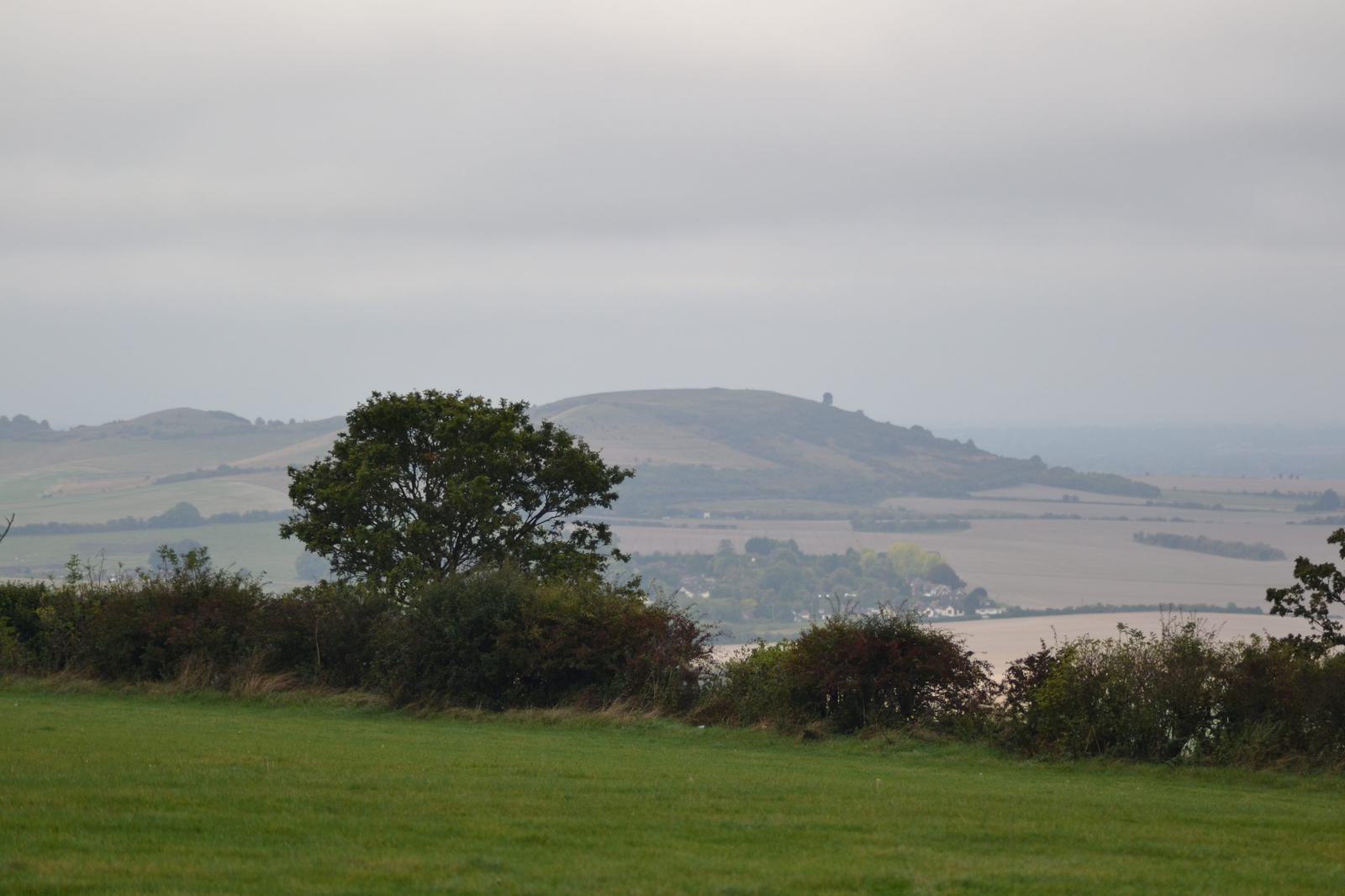 Rolling countryside under a cloudy sky, with hilltops in the distance. A solitary tree stands among dense green bushes in the foreground, and fields stretch across the landscape.