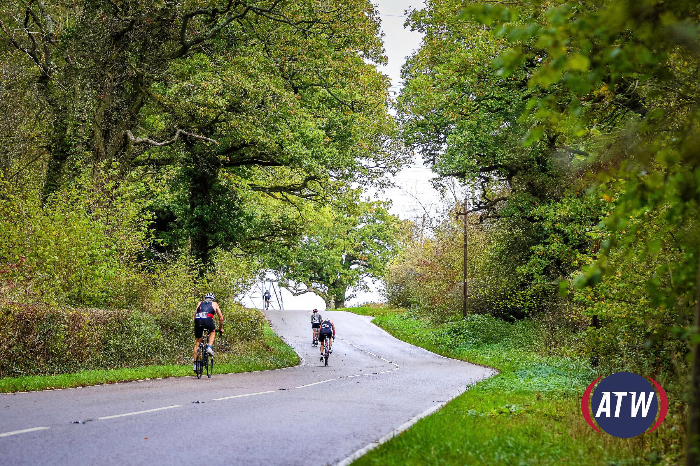 Three cyclists ride along a winding, tree-lined road under a cloudy sky. The lush green foliage of the trees creates a serene, natural canopy above the road. A logo with the letters "ATW" is visible in the bottom right corner.