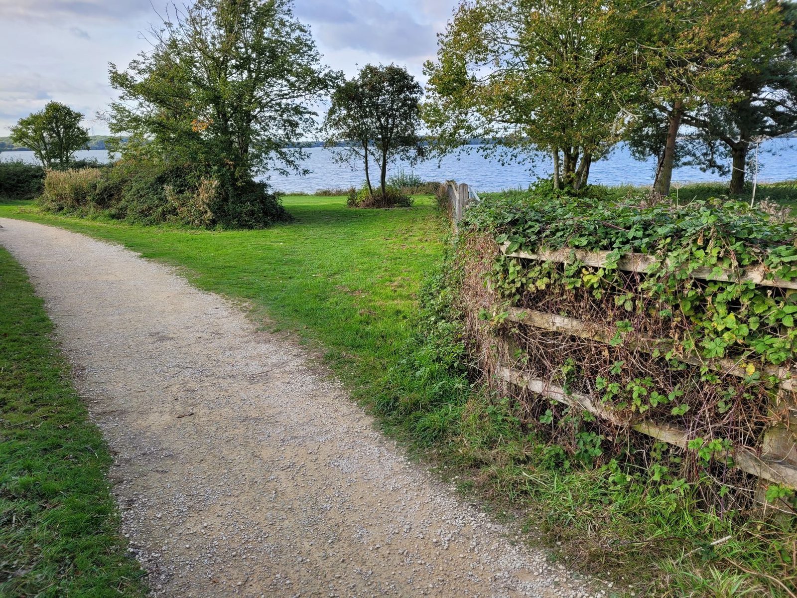 A gravel path winds through a grassy, green park, bordered by lush, leafy trees. To the right, a wooden fence covered in ivy runs parallel to the path. In the background, a lake glistens under a partly cloudy sky, with more trees lining its shore.