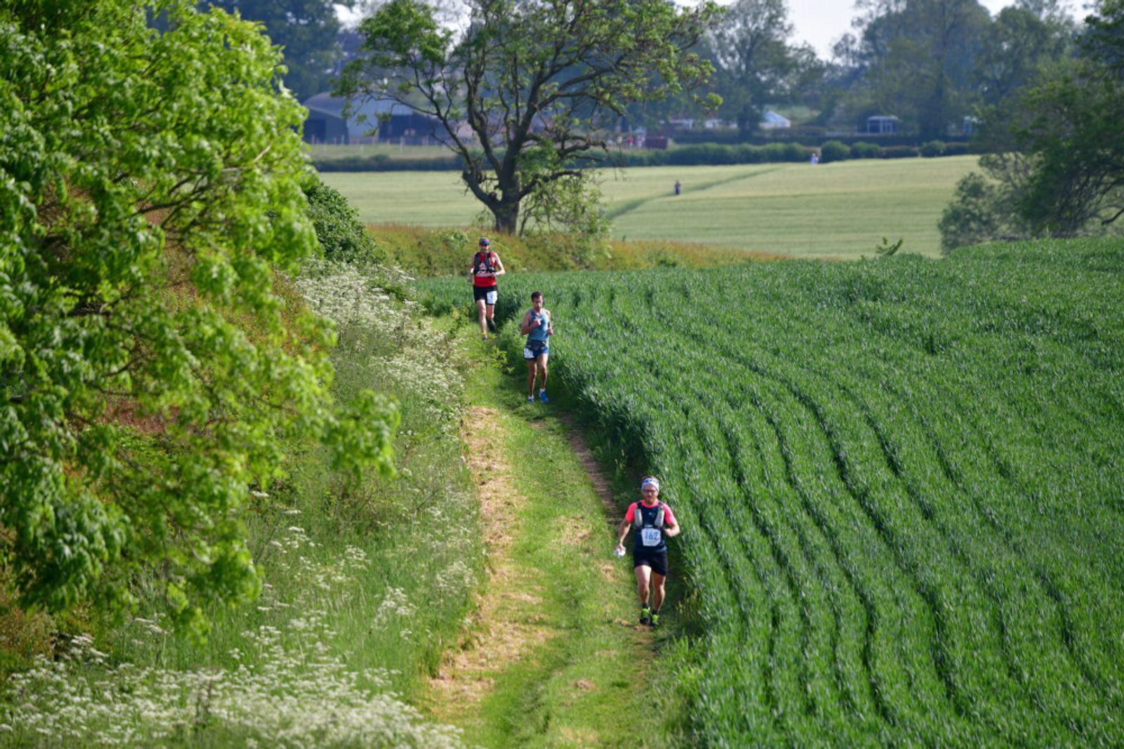 Four people are running on a narrow dirt trail that cuts through green fields. The runners are spaced out in a line, moving away from the camera. Trees and other greenery are visible in the background on a sunny day.
