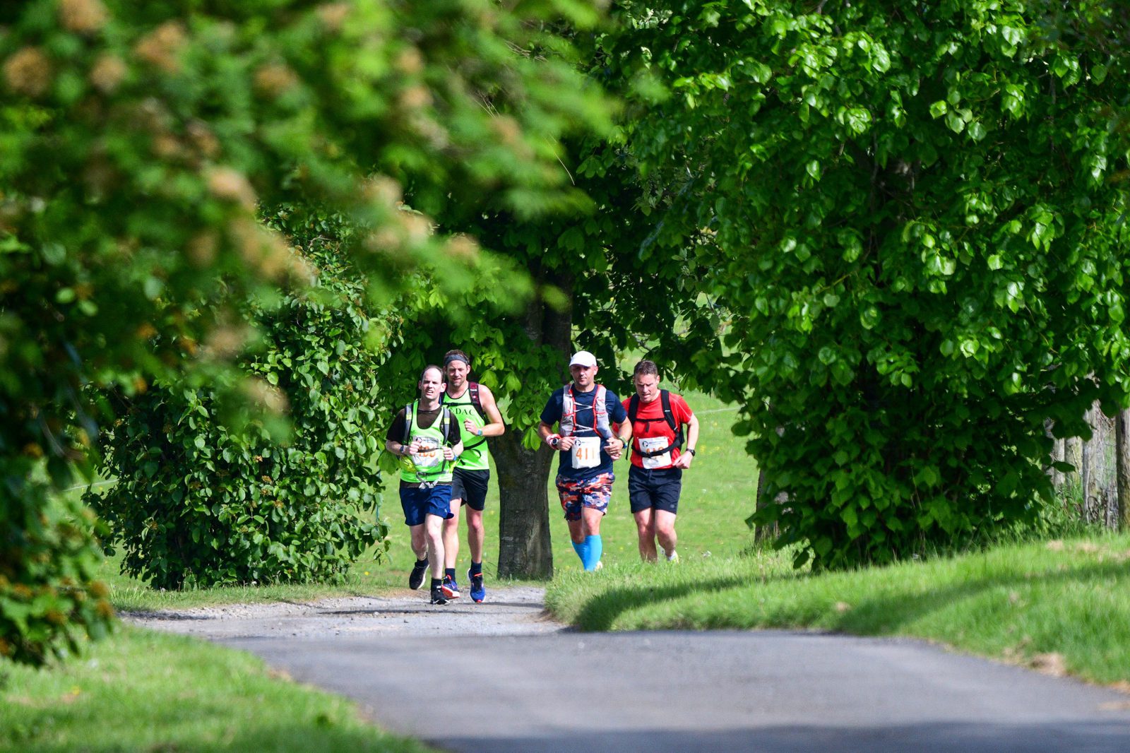 Four runners on a paved path surrounded by lush greenery. They are dressed in athletic gear, wearing race bibs, and appear to be participating in an outdoor running event. The path is lined with trees, and the setting is a sunny day.
