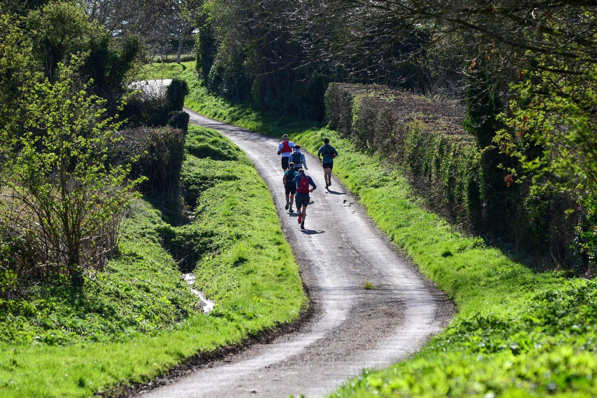 A group of six runners jogs along a narrow, winding rural path flanked by lush, green hedgerows and trees on a sunny day. The path stretches off into the distance, bathed in sunlight filtering through the tree branches.