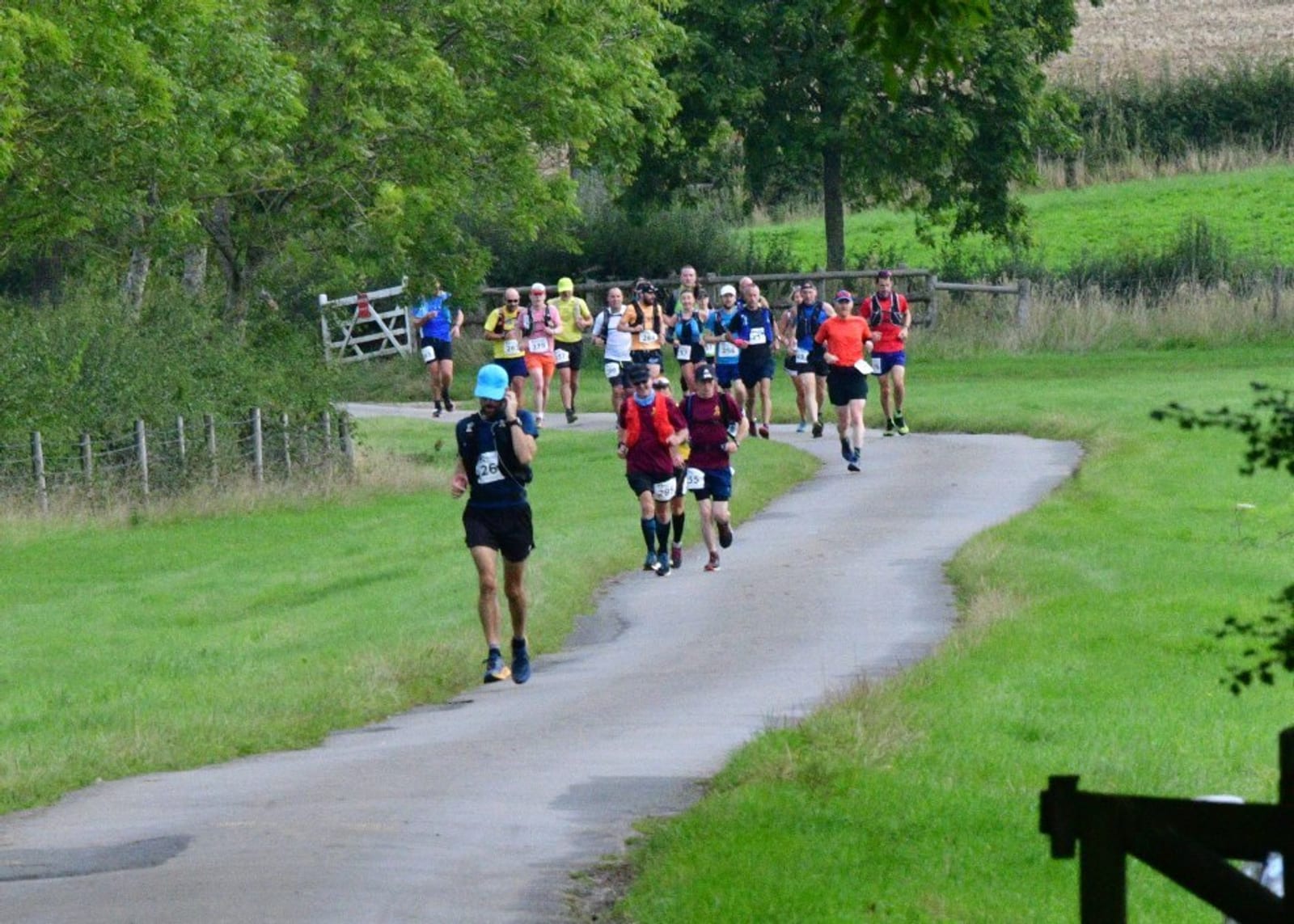 A group of runners participates in a race along a winding path through a green, rural landscape with trees and fields in the background. One runner is ahead of the main group.