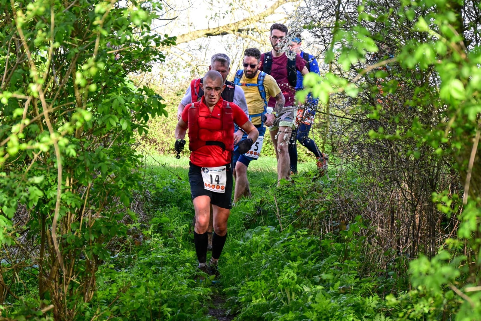 A group of five runners wearing race numbers and athletic gear run on a narrow, grassy trail through dense, green foliage during a trail race. The lead runner wears a red vest and black shorts.