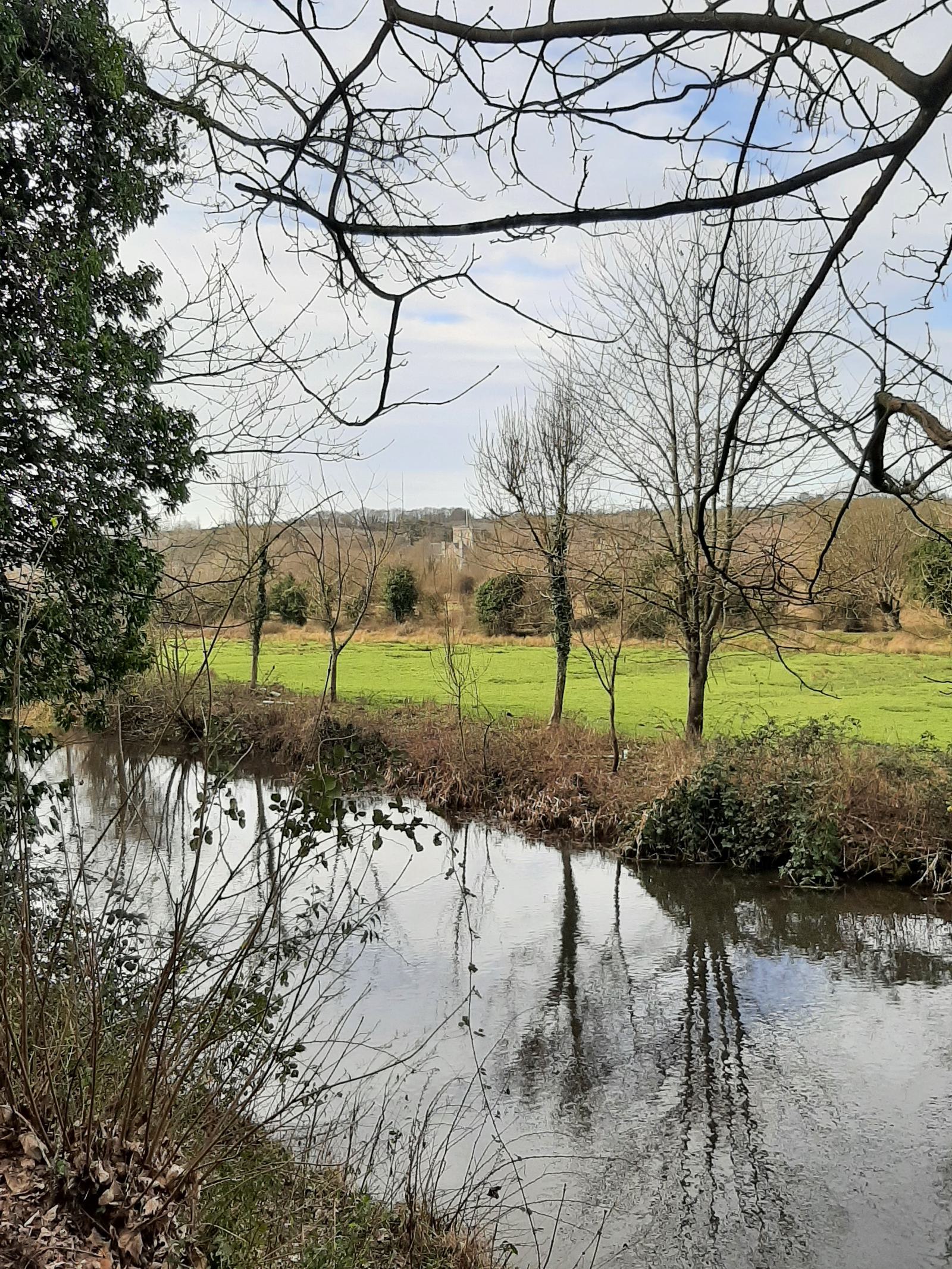 A serene landscape featuring a calm river with reflections of bare trees on its surface. Adjacent to the river is a green field bordered by more trees in the background. The sky above is partly cloudy. Some branches from nearby trees frame the scene.