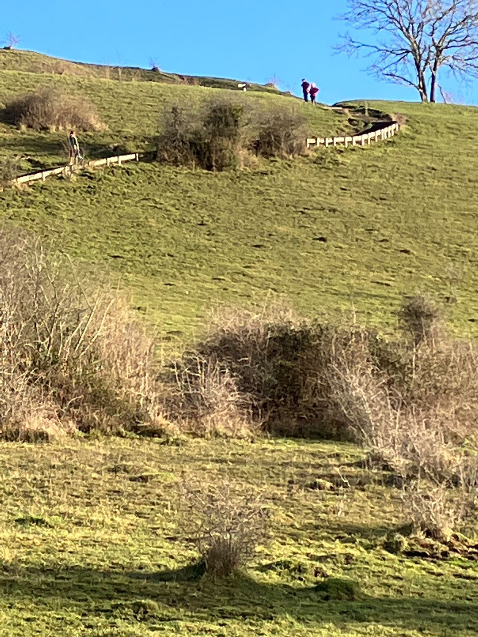 A grassy hill with a few scattered shrubs and bare trees. At the top of the hill are two people standing by a wooden fence. The sky is clear and blue, adding a bright, serene backdrop to the scene.