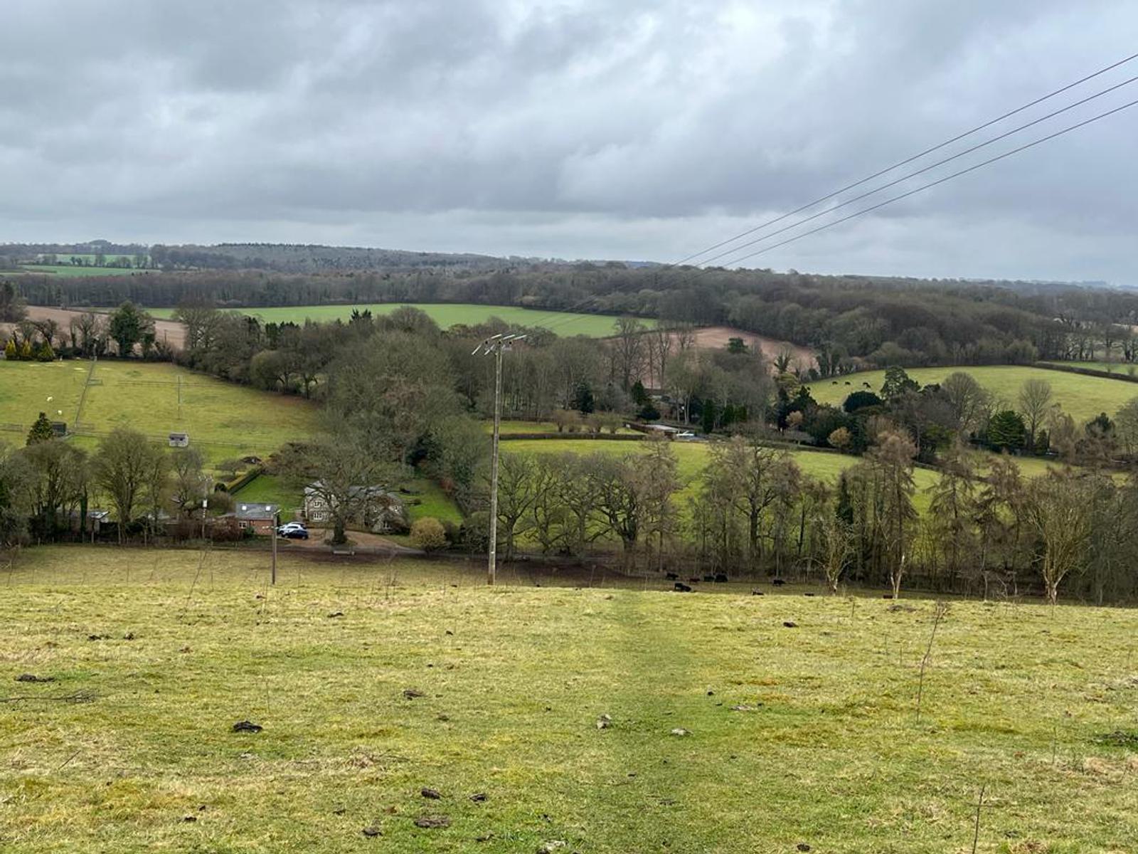A scenic view of a green hilly landscape under a cloudy sky. The foreground features a pasture, sparse trees, and a small number of cows. A few scattered houses and electrical lines are visible in the mid-ground, with forests and more hills in the background.