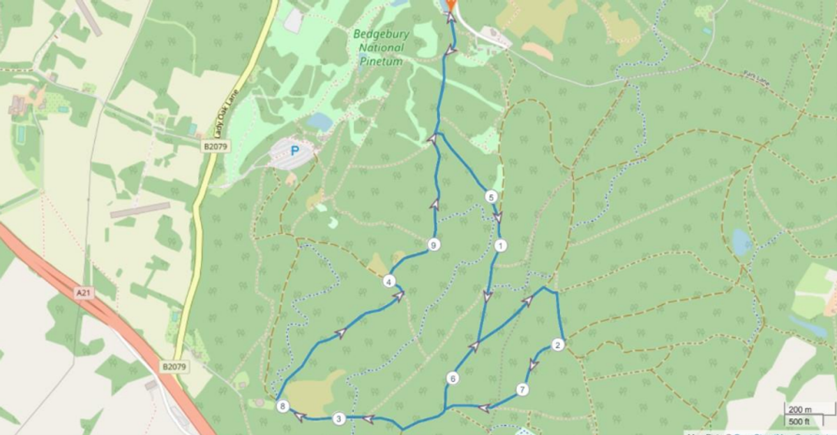 Bedgebury Autumn 10k & 5k Canicross Challenge course map