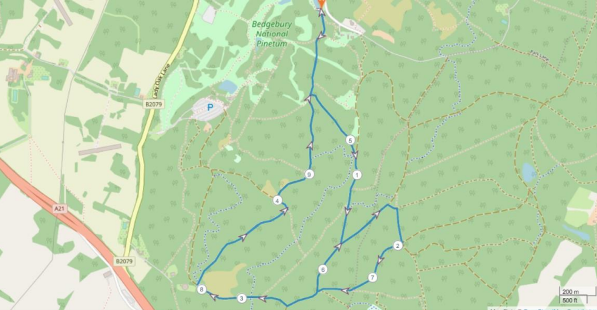 Bedgebury Autumn 10k & 5k Canicross Challenge course map