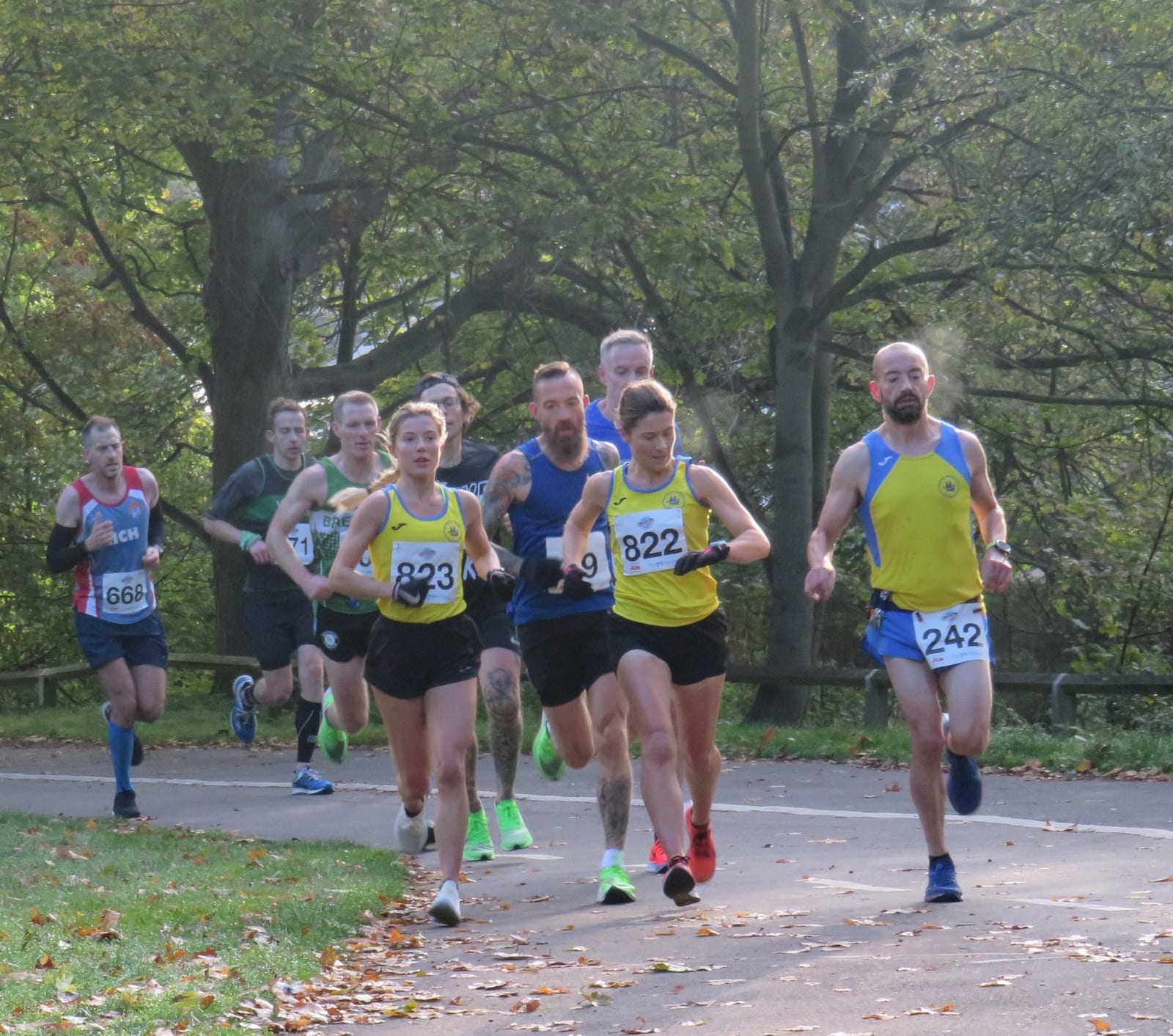 A group of runners competes in a race through a wooded park. The front runners wear yellow and blue shirts with numbers 822, 323, and 242. Another runner in blue is close behind. Fallen leaves cover the ground, hinting at an autumn setting.