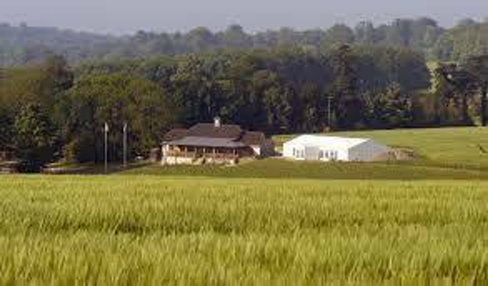 A farmhouse and a white barn stand amidst expansive green fields with a backdrop of dense trees and slightly hazy sky, suggesting a rural countryside setting.