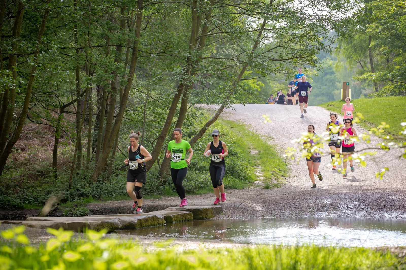 Runners participate in a race on a scenic forest trail. Some runners wear numbered bibs and colorful athletic wear, navigating a path that crosses a shallow stream. Sunlight filters through the trees, illuminating the lush greenery around them.