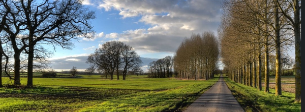 Oundle New Year 10k & 5k