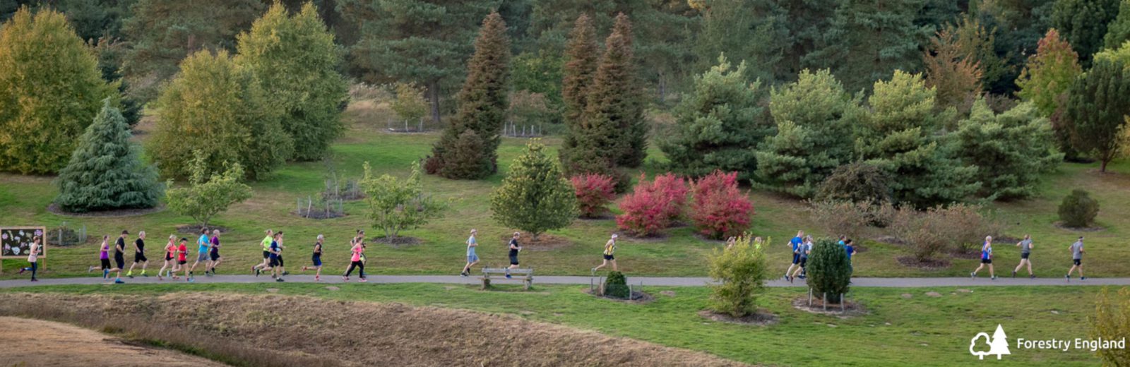 A group of people jogging on a paved path through a lush park with diverse trees and colorful foliage. The scene is set in a forested area marked by a "Forestry England" logo in the lower right corner. The sky is clear and the surroundings are vibrant and green.